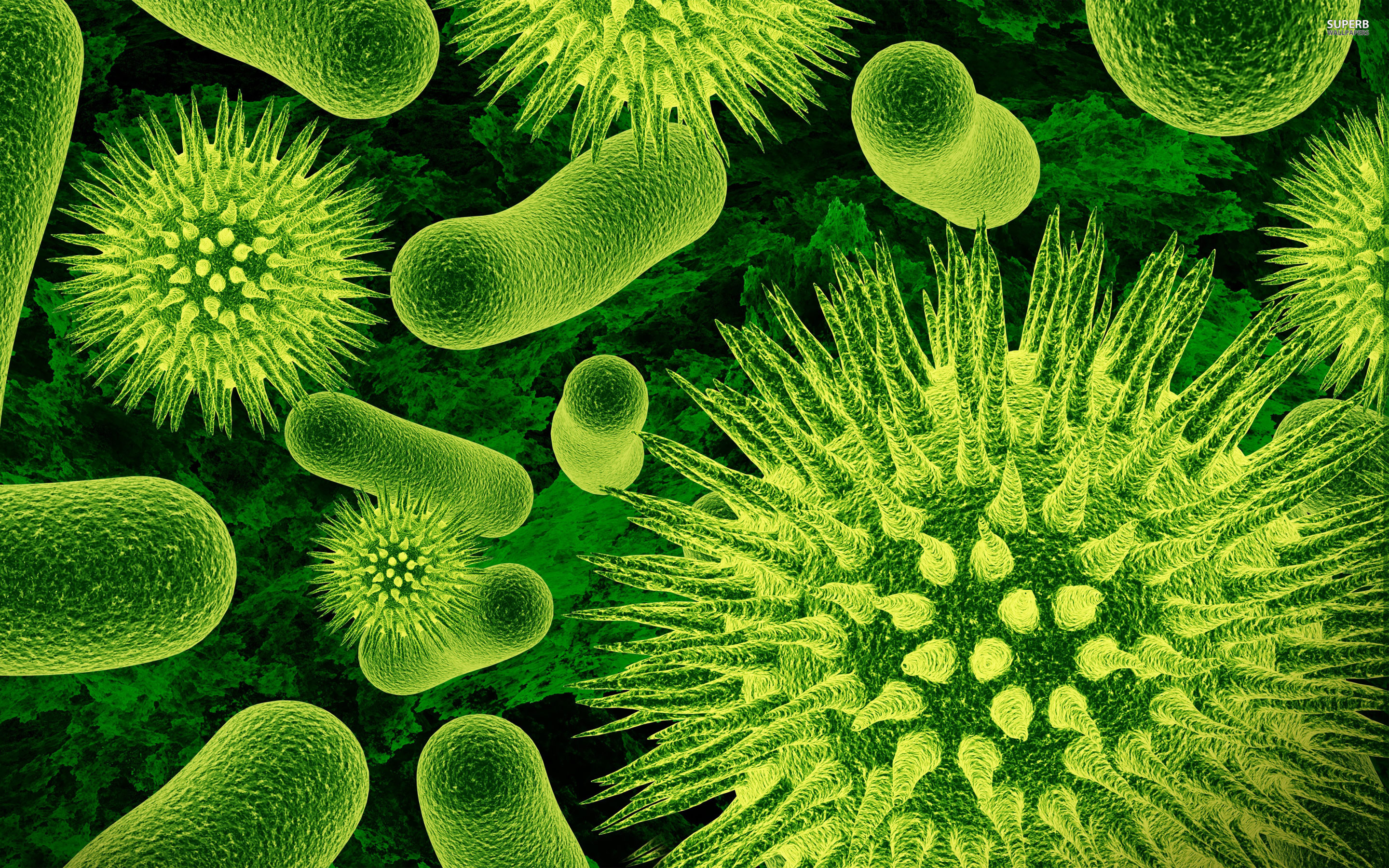 I Sell Bacteria | The Leadership Review