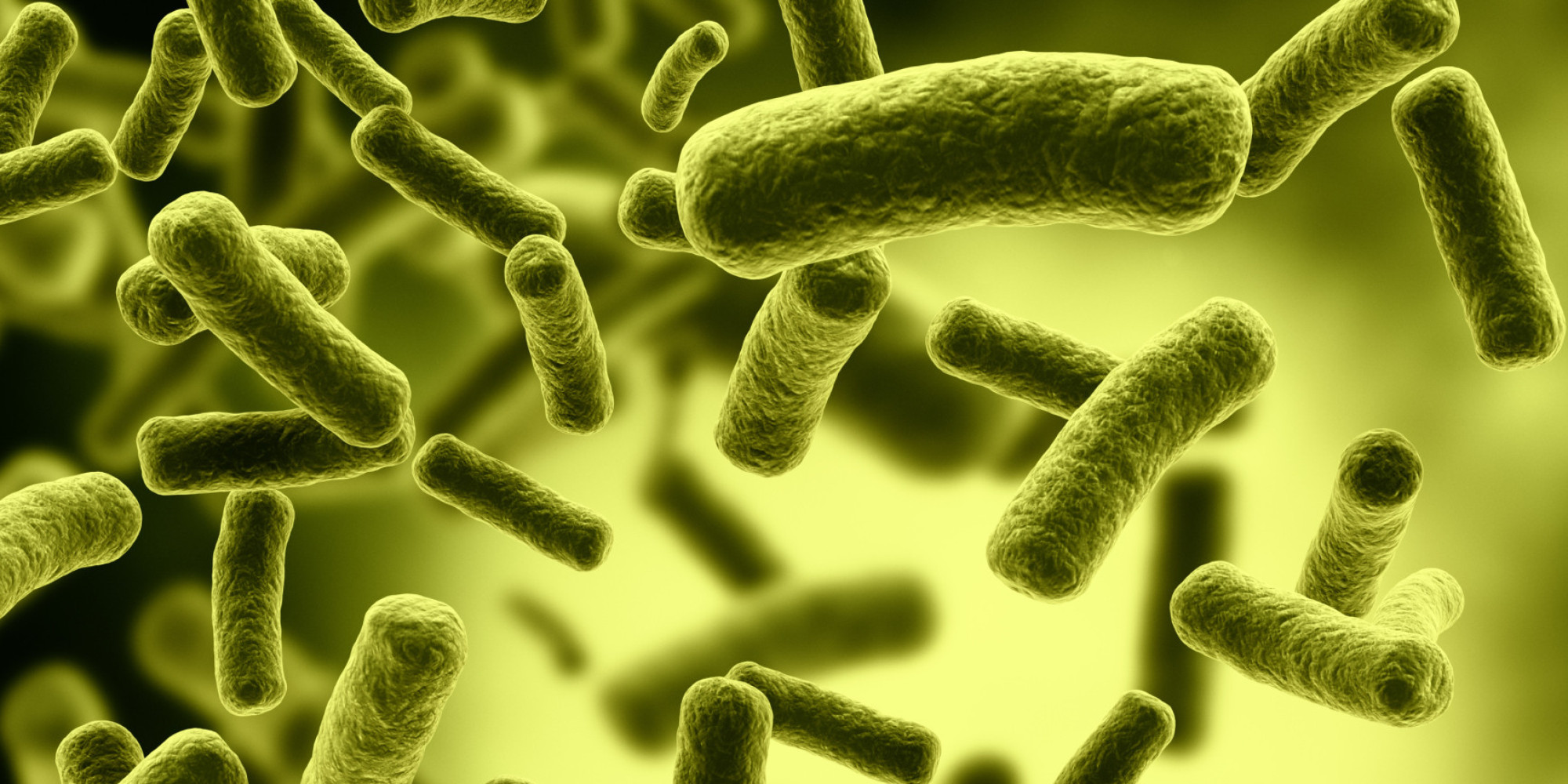 The War On Bacteria -- Who Are We Really Harming? | HuffPost