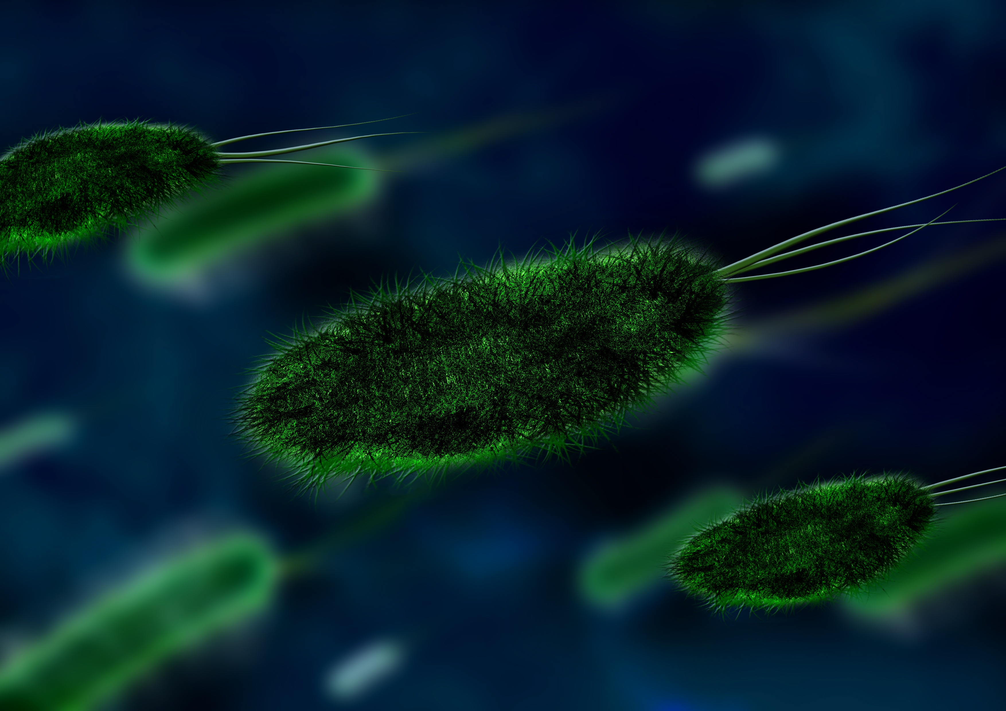 Microbial Physicians: Delivering drugs with bacteria - Science in ...