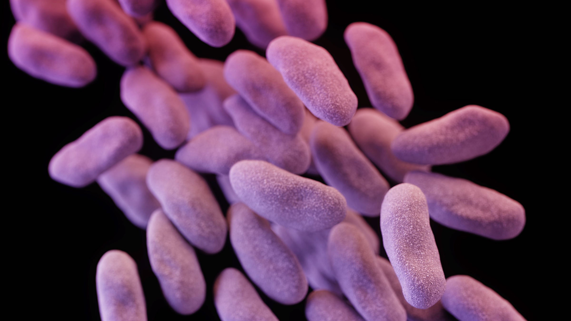 Nightmare bacteria' are trying to spread in the U.S., CDC says