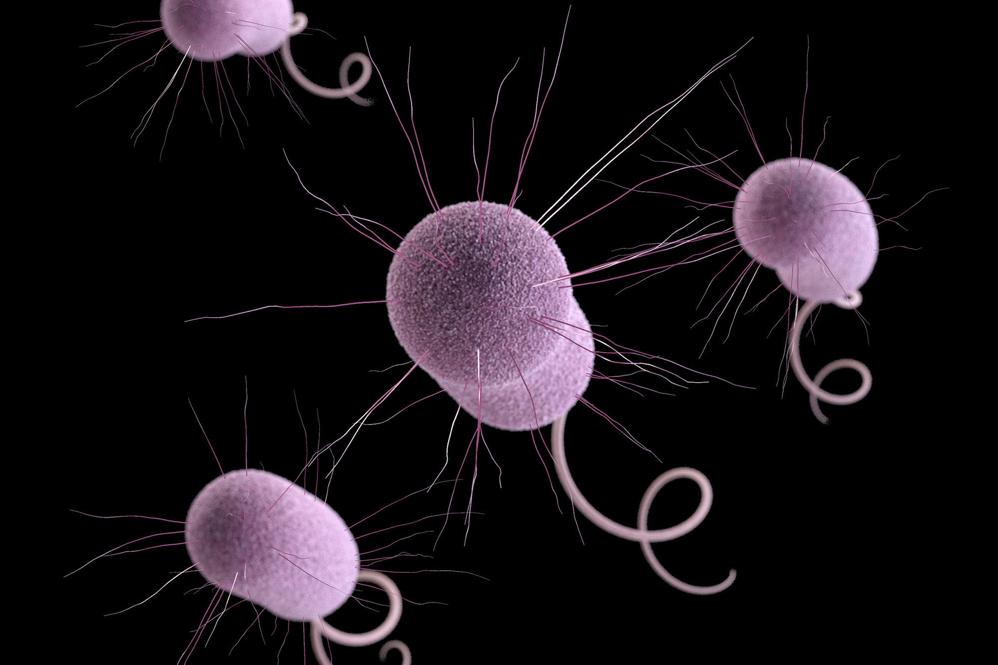 Drug-resistant 'nightmare bacteria' pose growing threat: CDC