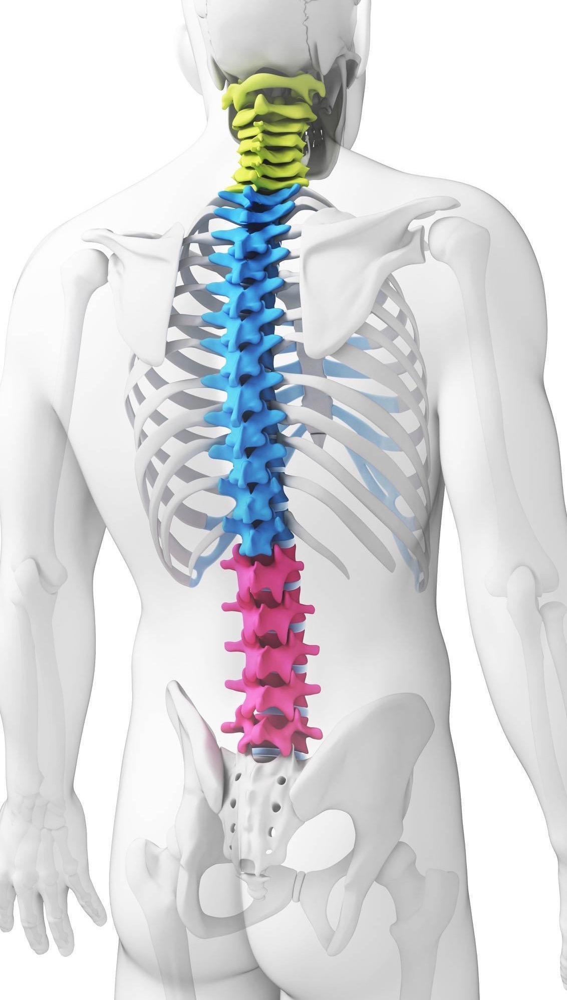 Low Back Pain help and relief in Salisbury - The Therapy Centre