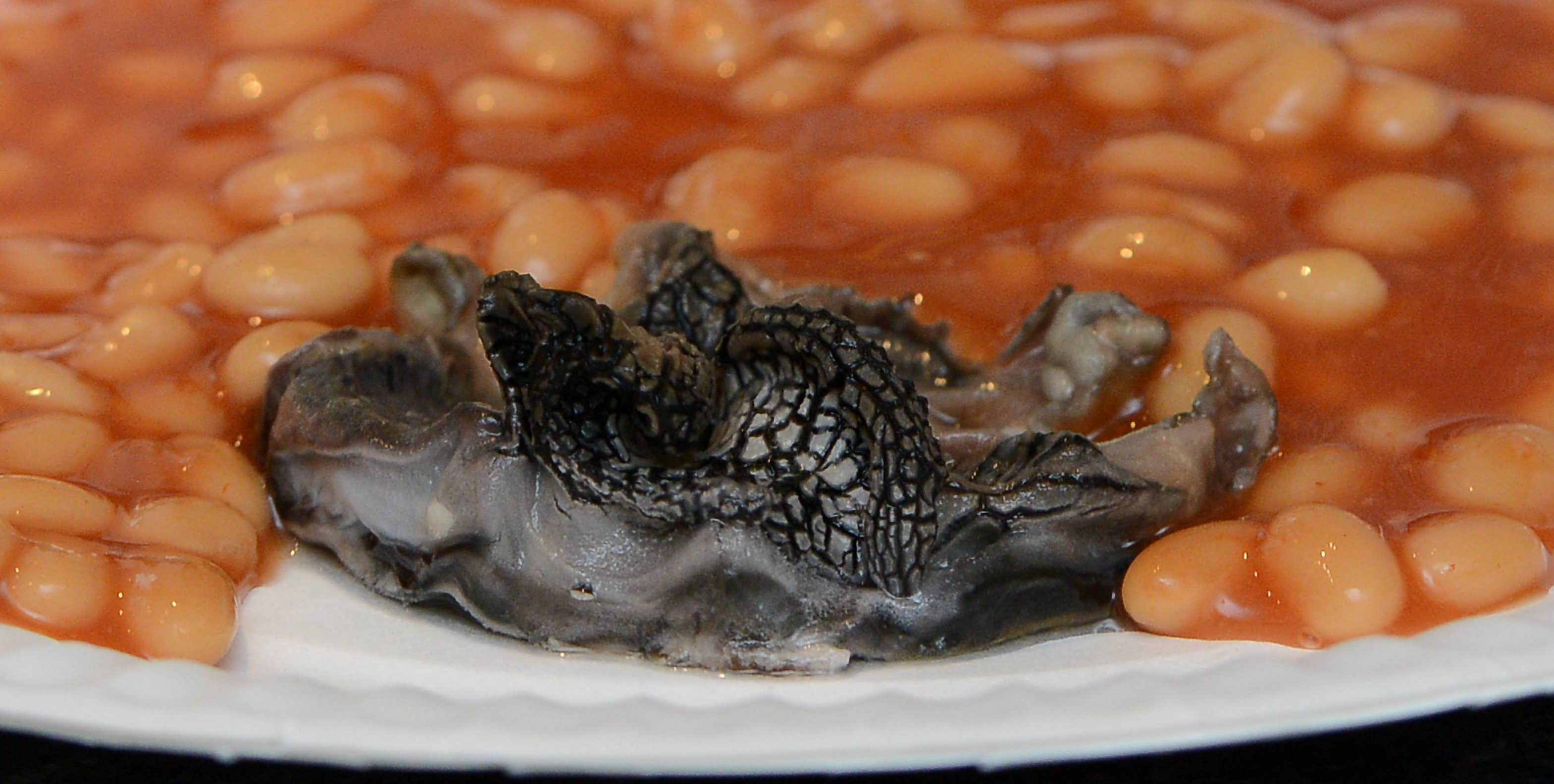Mum who found scaly mystery creature in tin of Branston Baked Beans ...