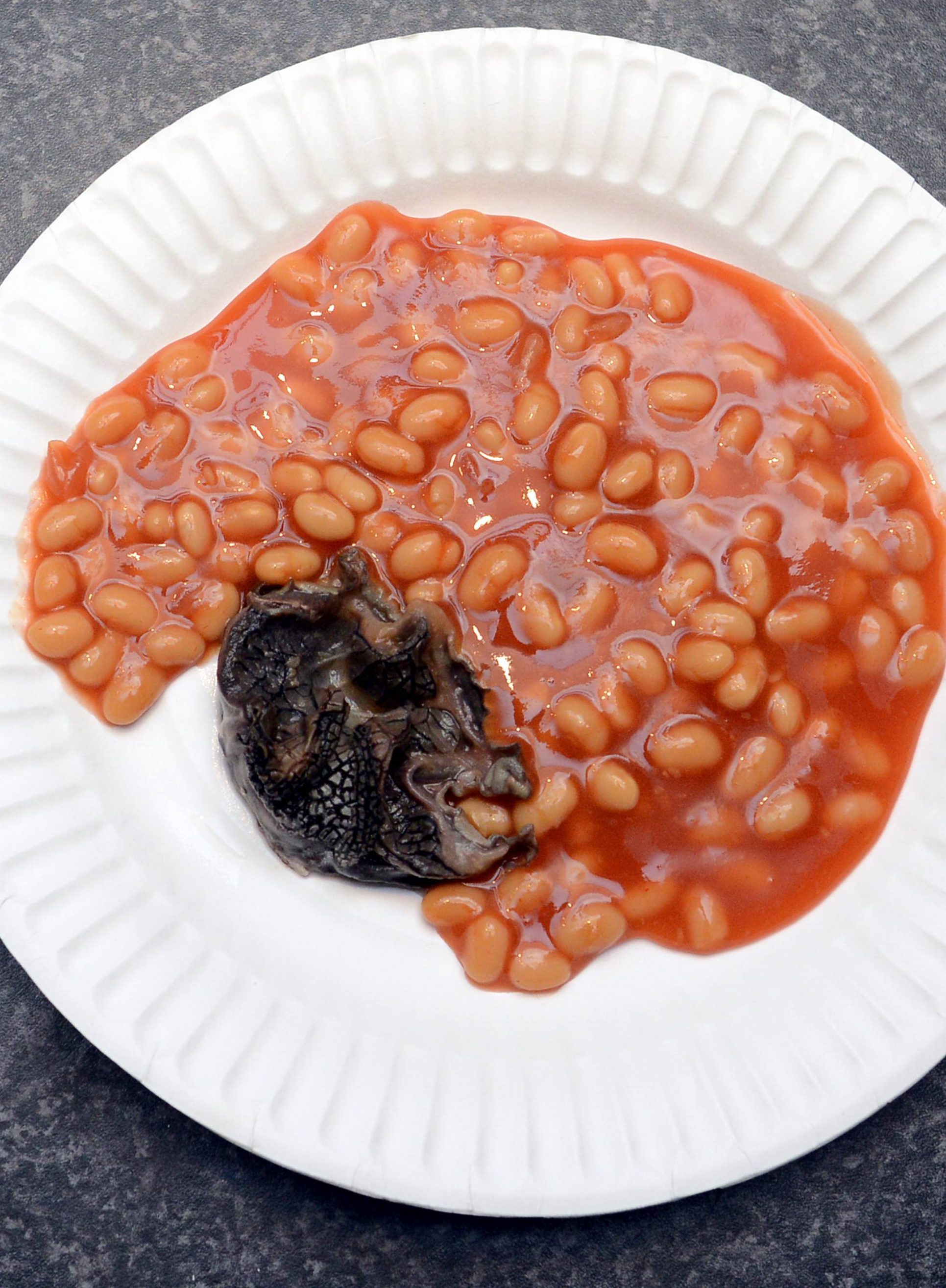 Mum who found scaly mystery creature in tin of Branston Baked Beans ...