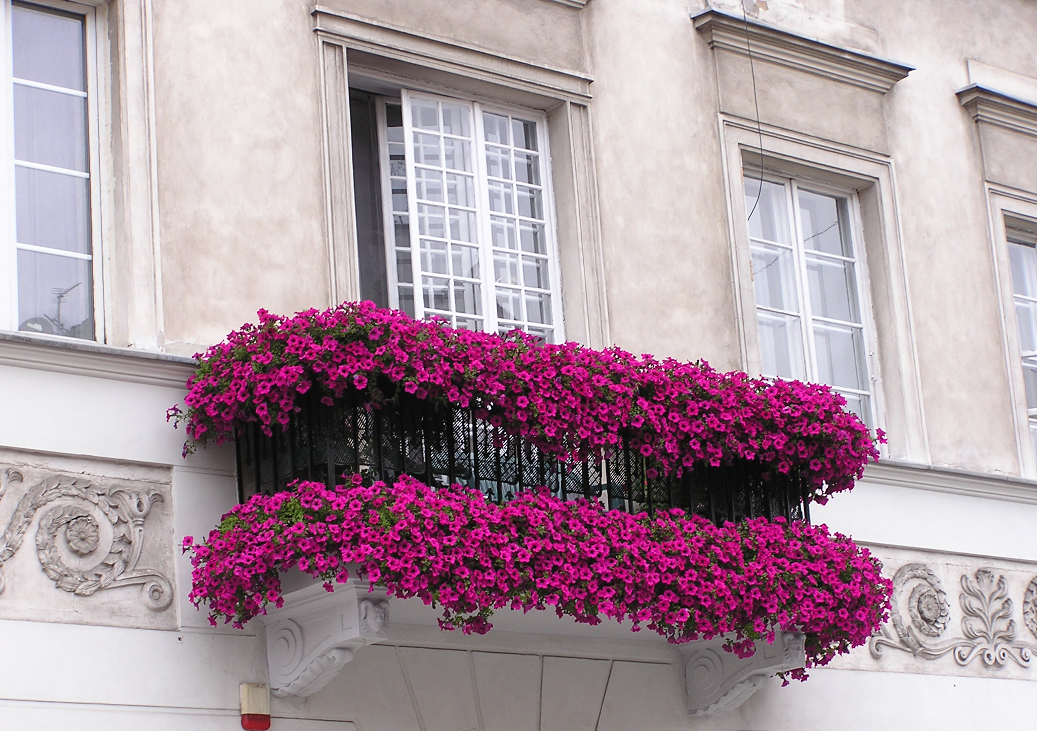 Balcony Flowers Design — BALCONY IDEAS : Smart Balcony Flower Garden ...