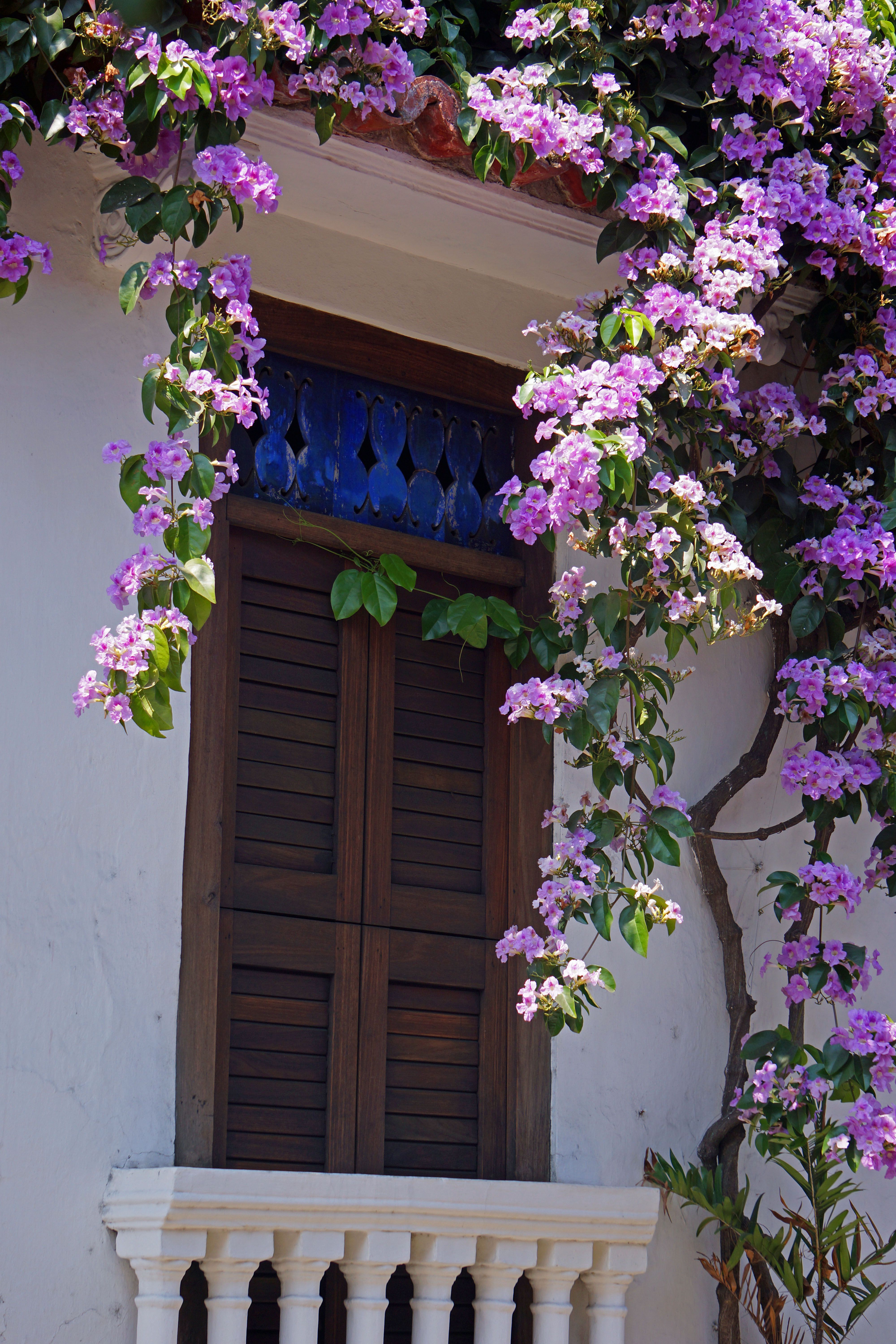 Balcony with flowers, Cartagena, Colombia | Lens on the World ...