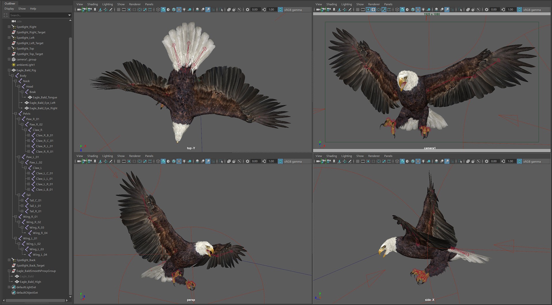 Animated Bald Eagle 3D Model