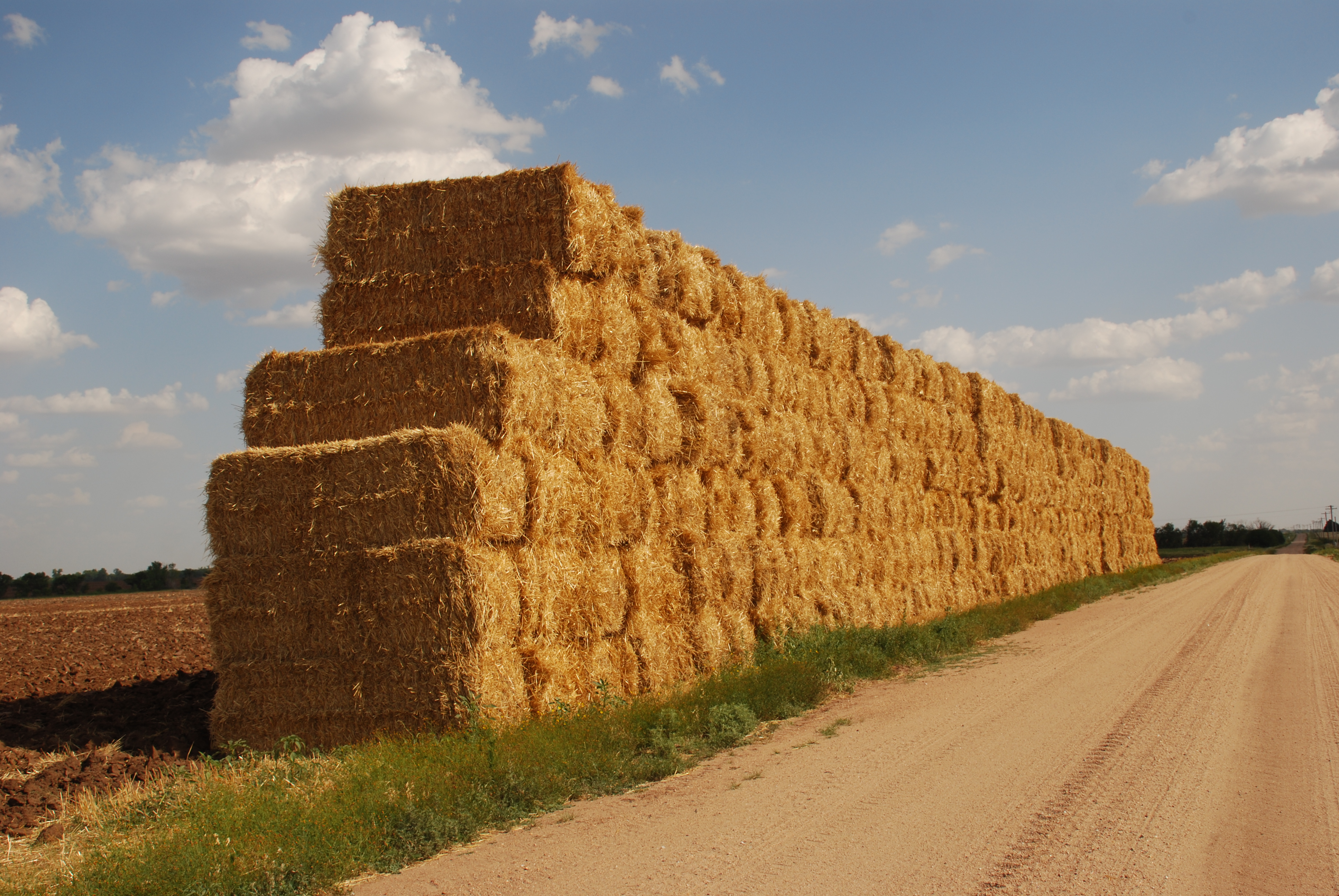 straw bales | From Sand Creek