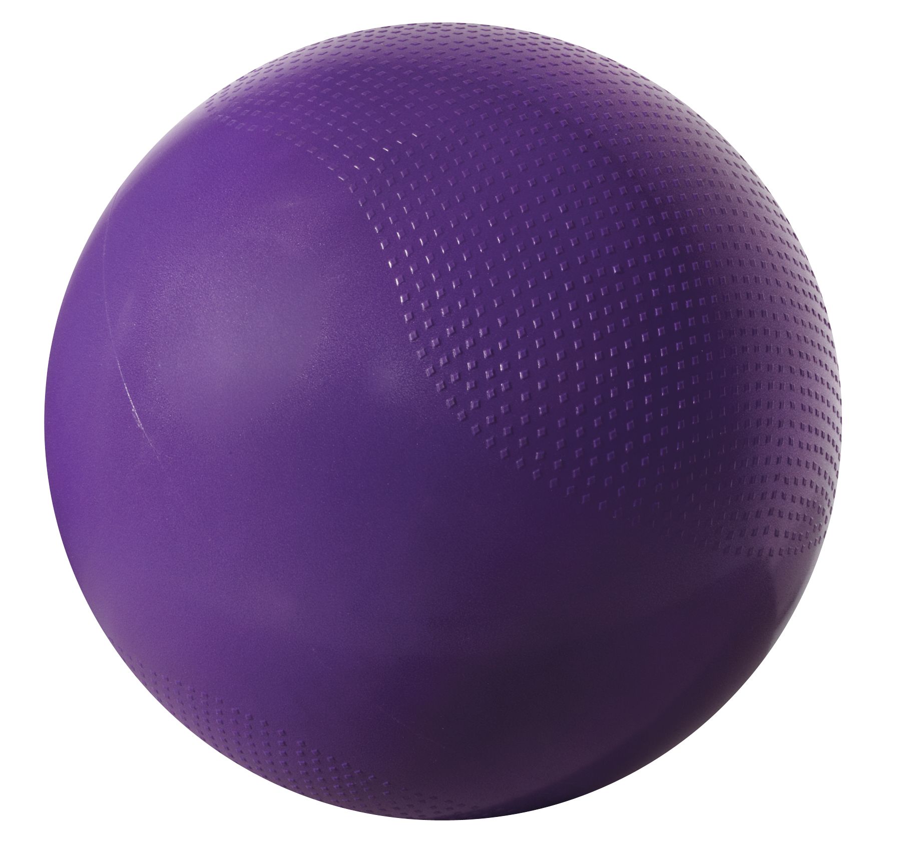 Fitness Gear 65 cm Weighted Stability Ball | DICK'S Sporting Goods
