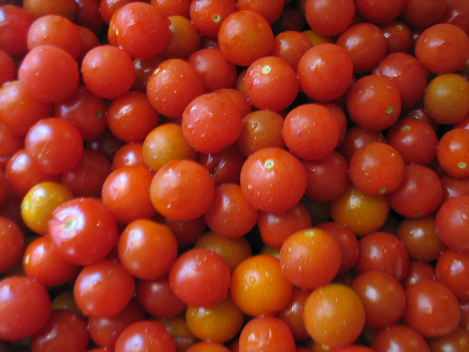 tomato pesto | What I Ate For Dinner