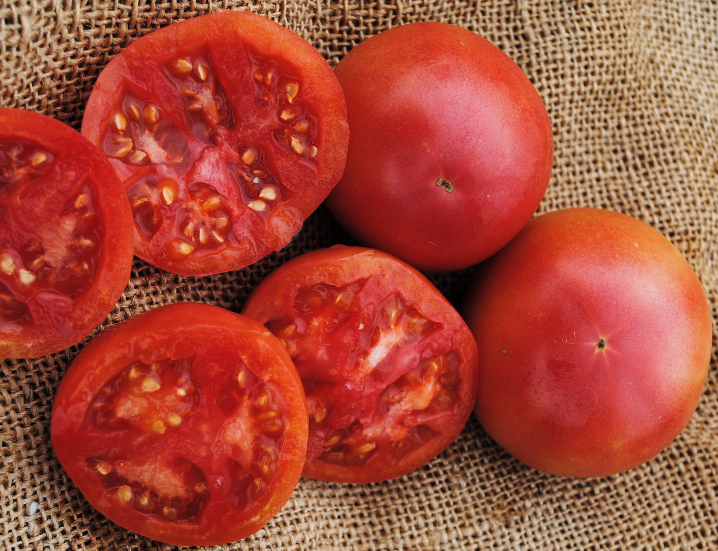 Eva Purple Ball Tomato, 0.16 g : Southern Exposure Seed Exchange ...