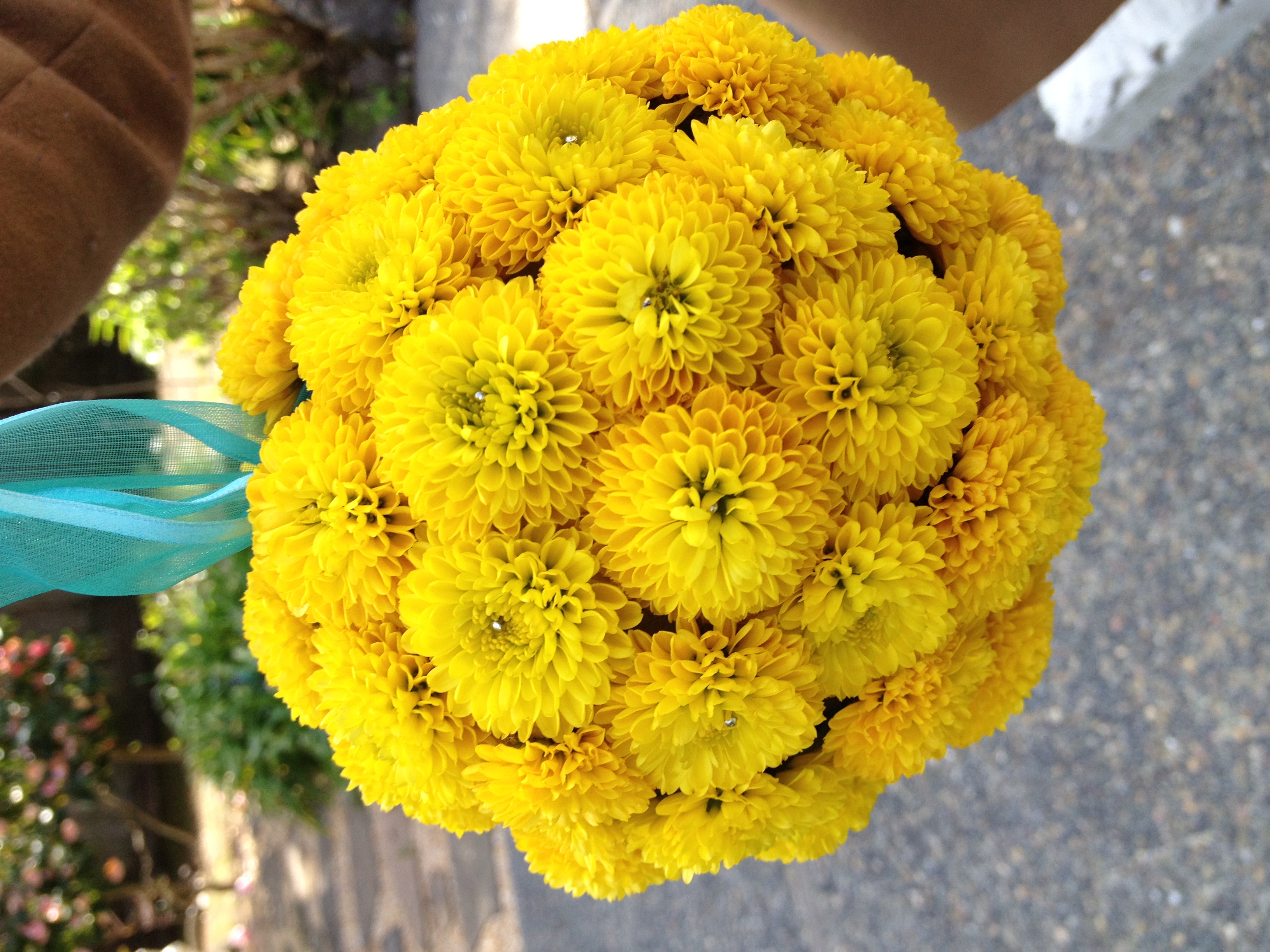Yellow Ball Flower Image collections - Flower Decoration Ideas