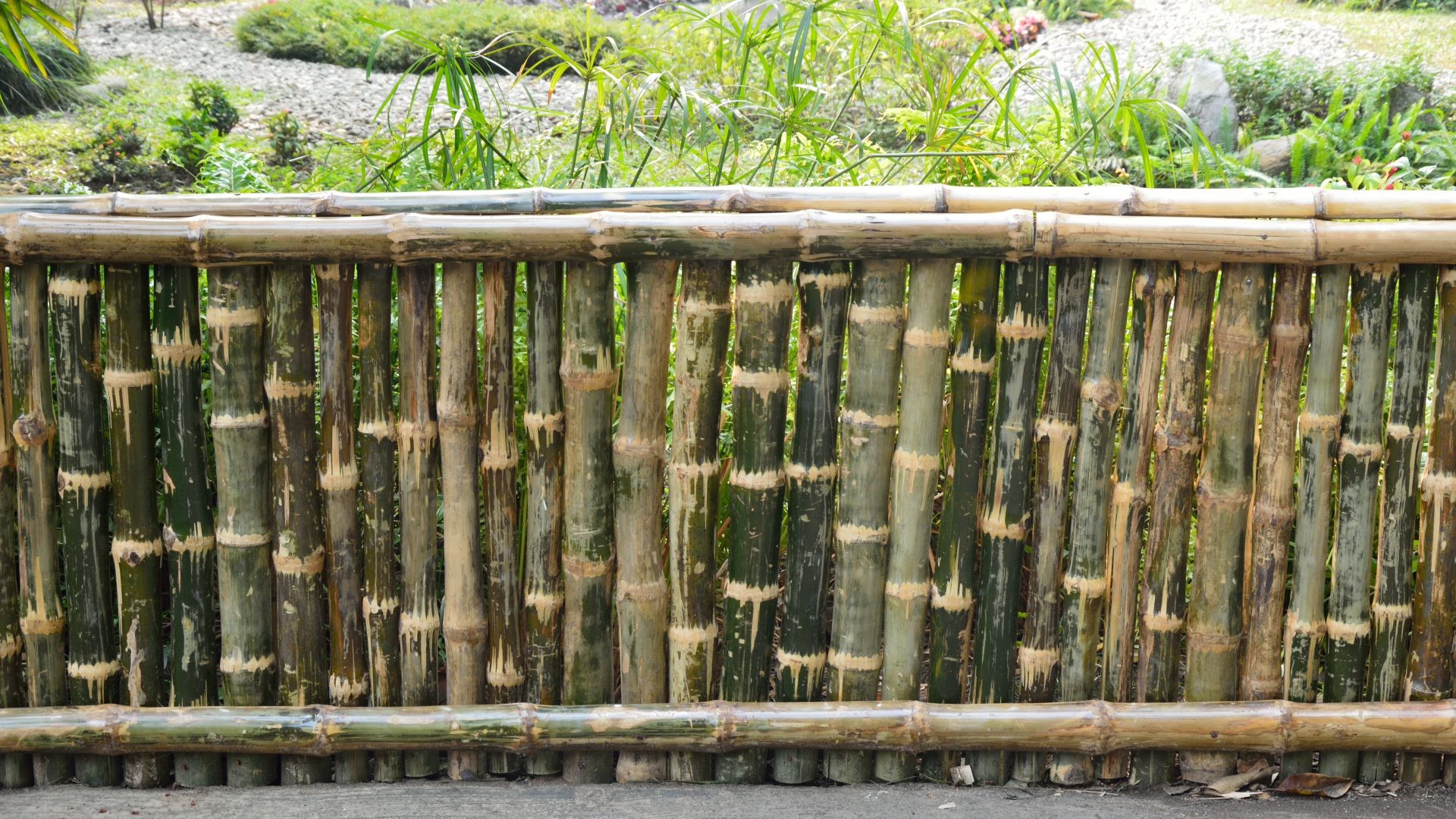 Bamboo Fence Screening Ideas
