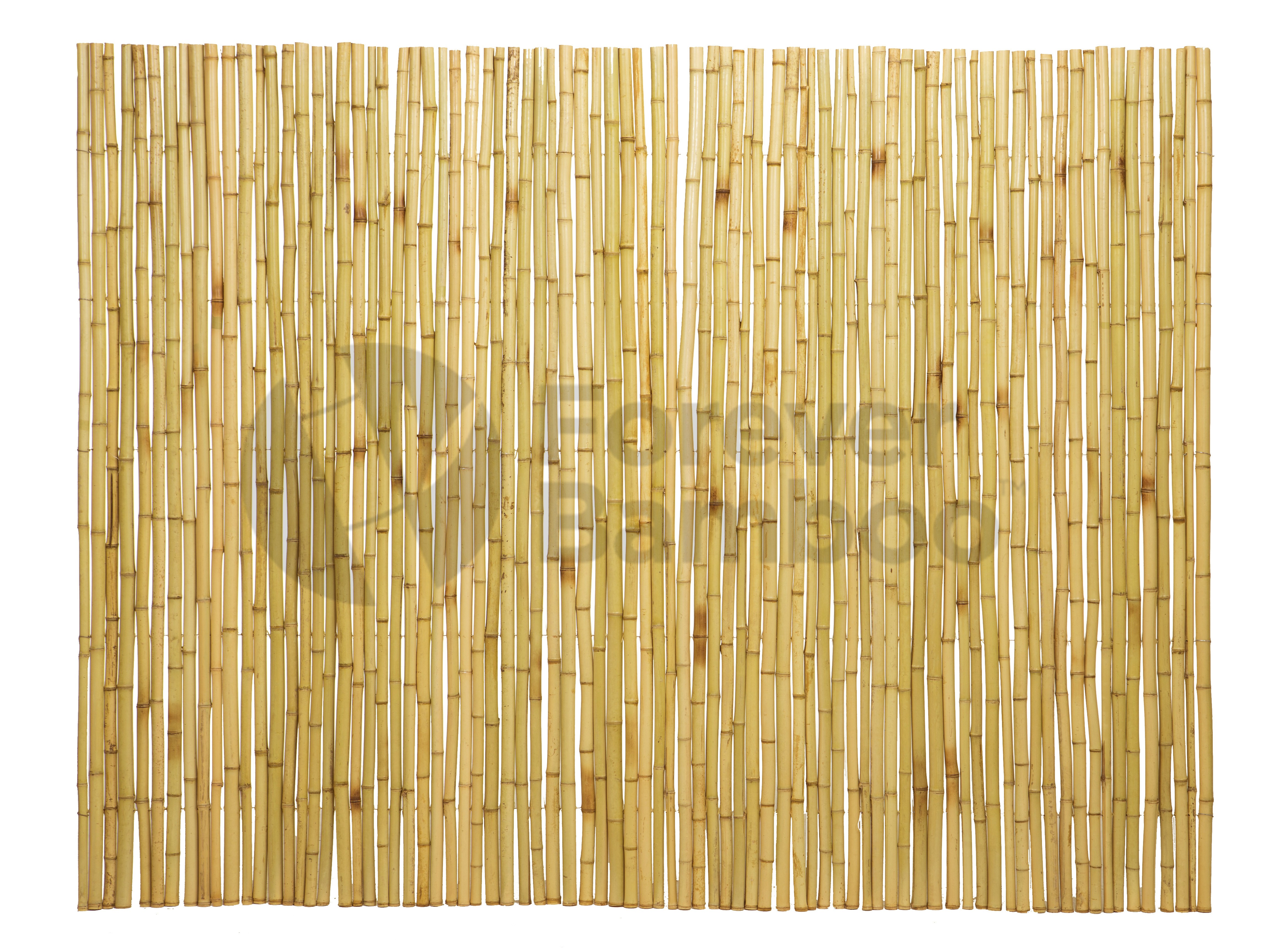 Natural Bamboo Fence ¾