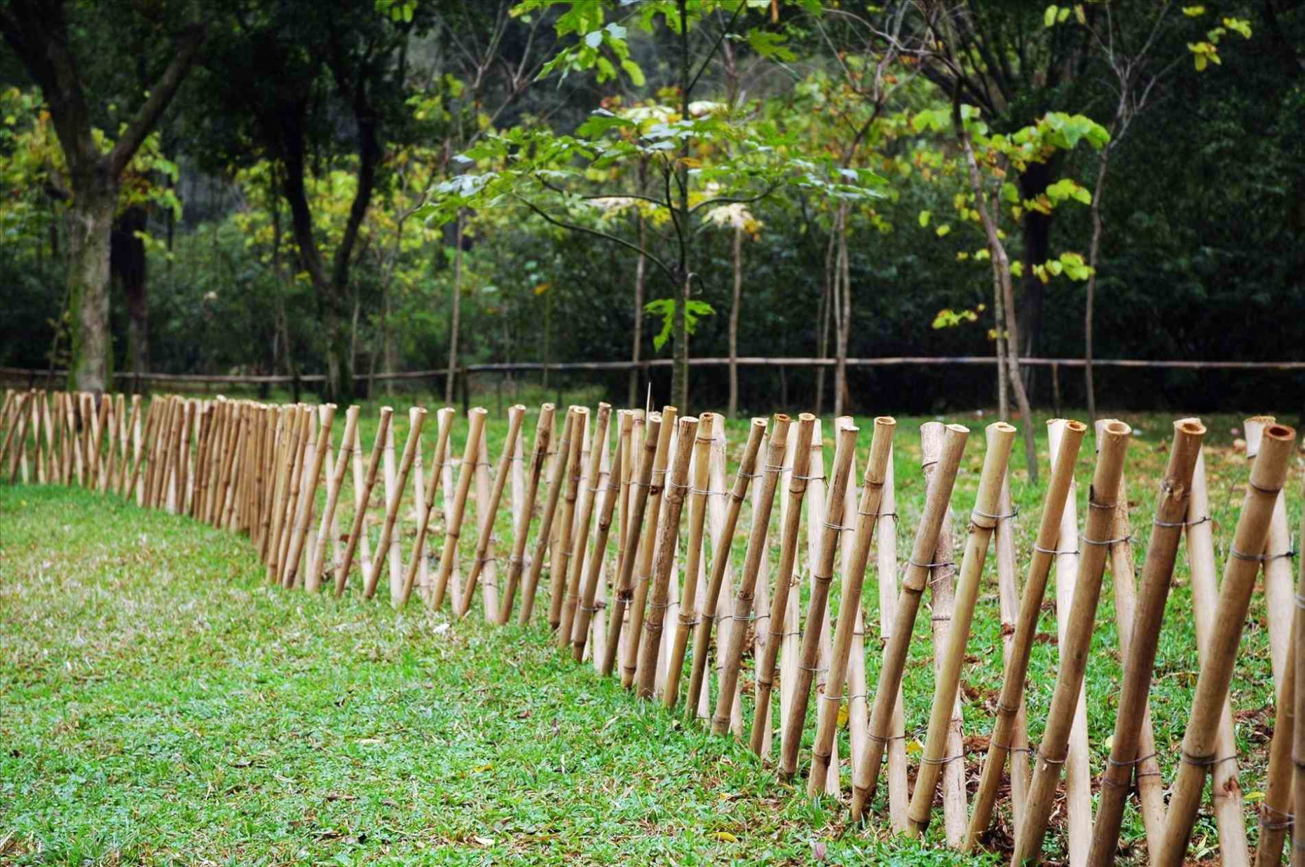 Outdoor & Garden: Best Bamboo Fencing Pictures Bamboo Garden Fences ...