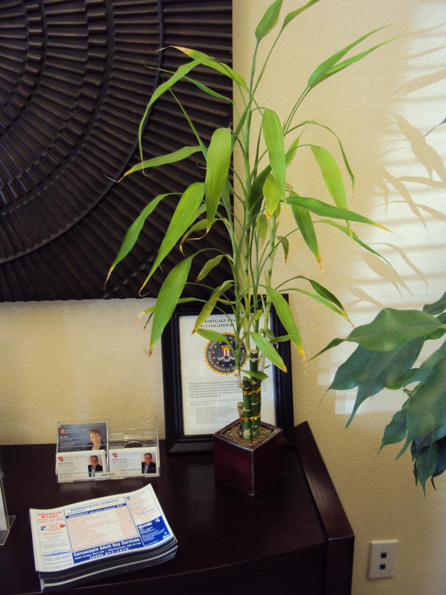 Bamboo Plant Office Desk | Desk Ideas