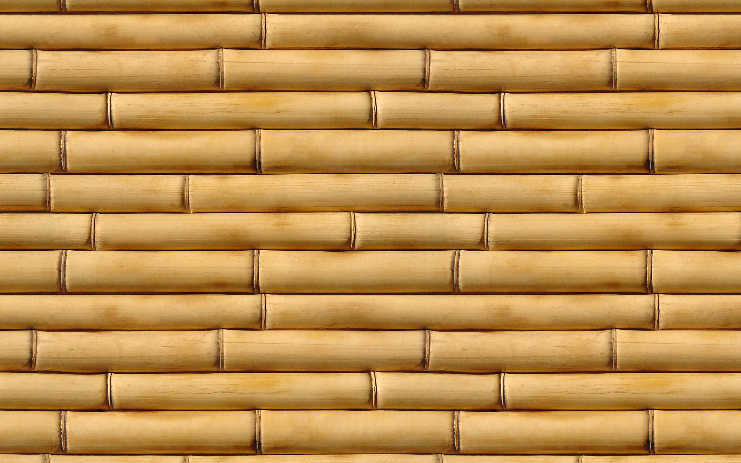 Free photo Bamboo  texture  Bamboo  Texture  Wood Free 