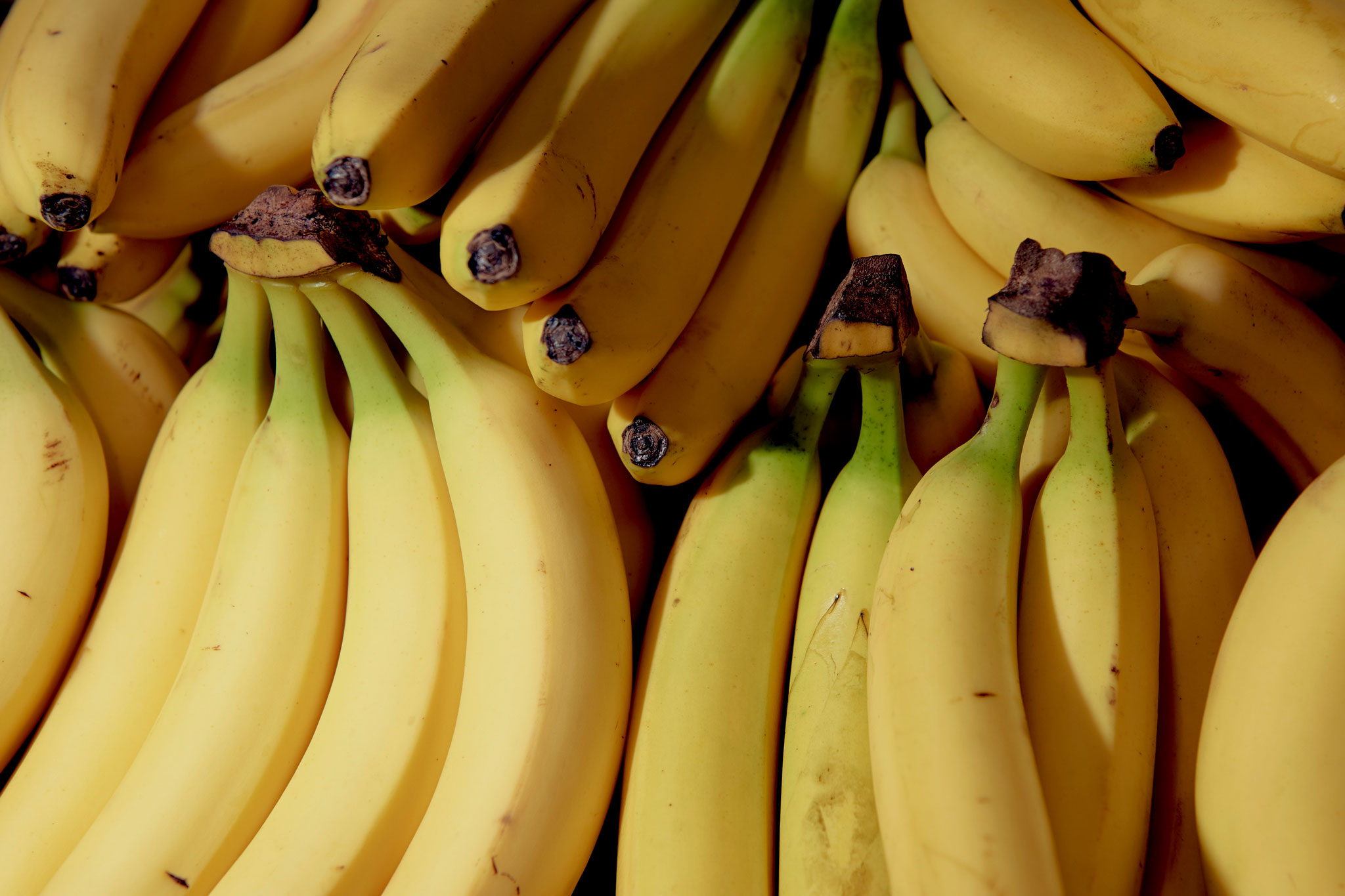 Бананы желтые (Эквадор) (сорт Кавендиш)