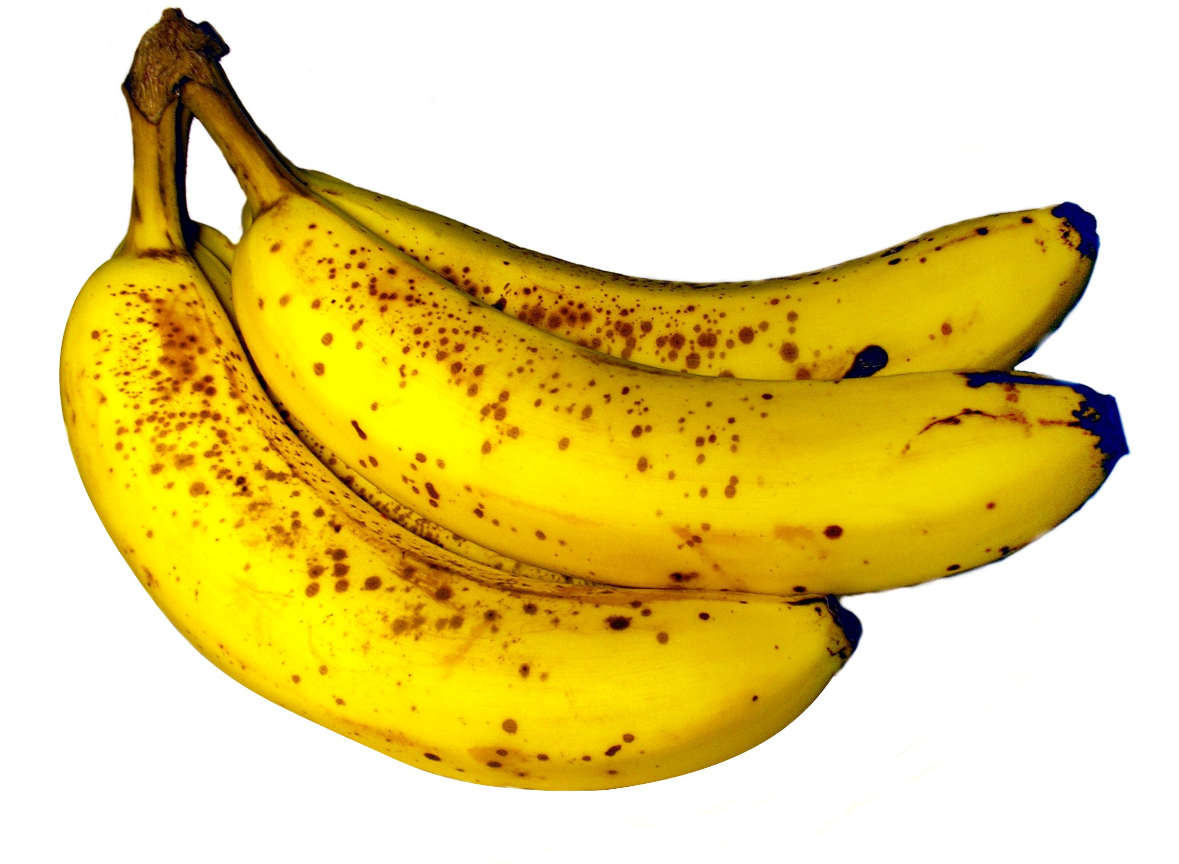 File:Banana Fruit.JPG - Wikimedia Commons