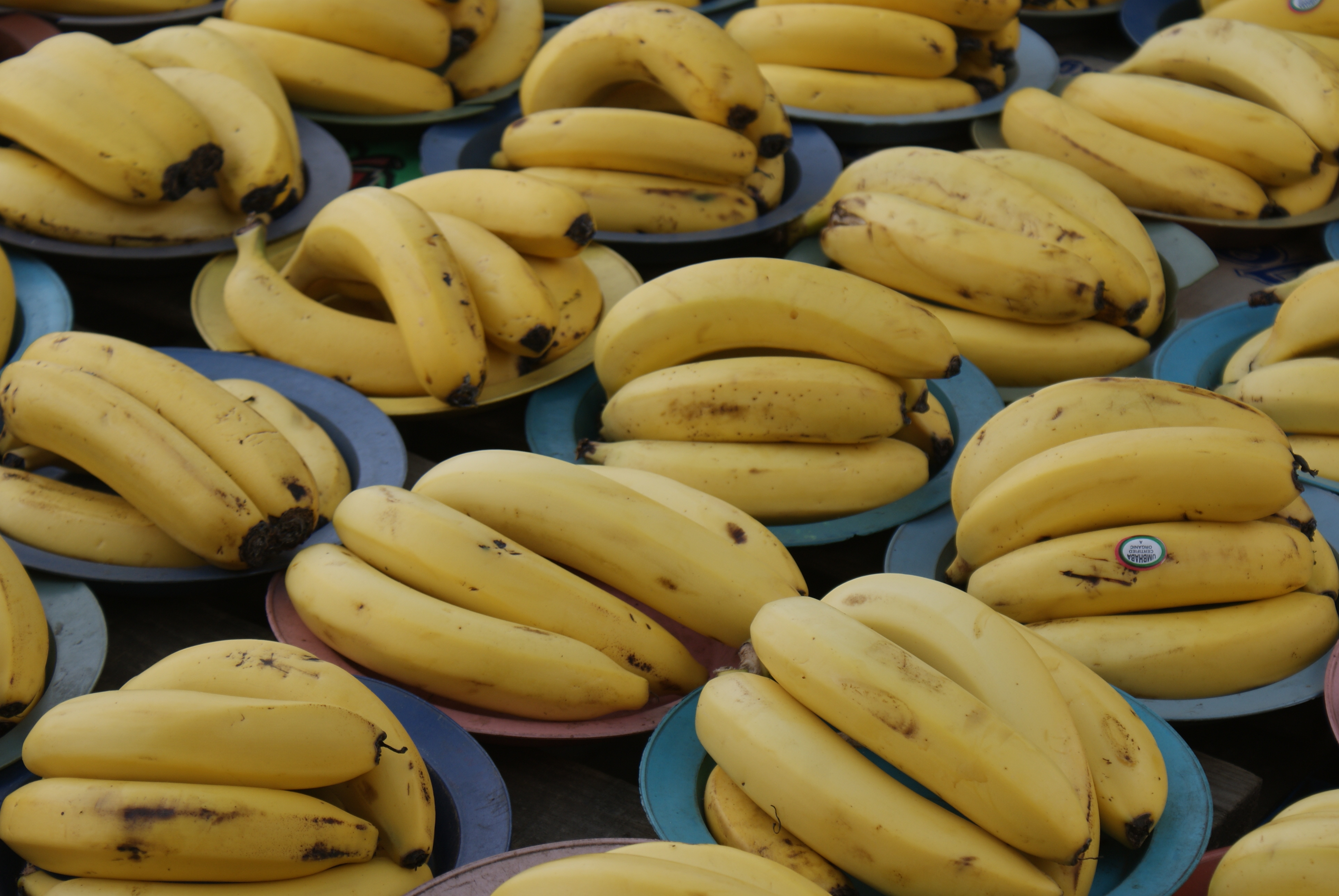 Global shortages in banana market - AgriOrbit