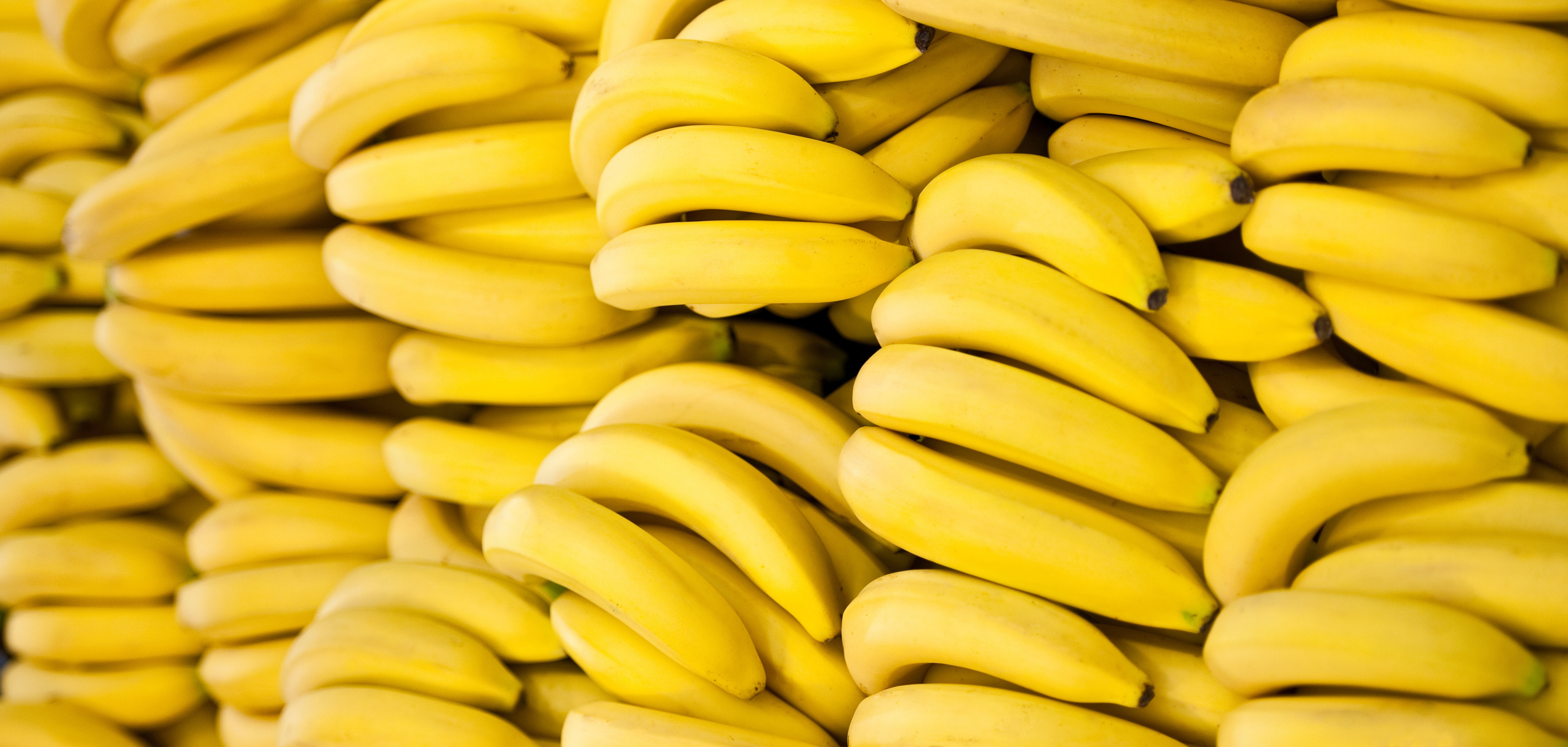 Are Bananas Healthy for You? - [Updated June 2018]