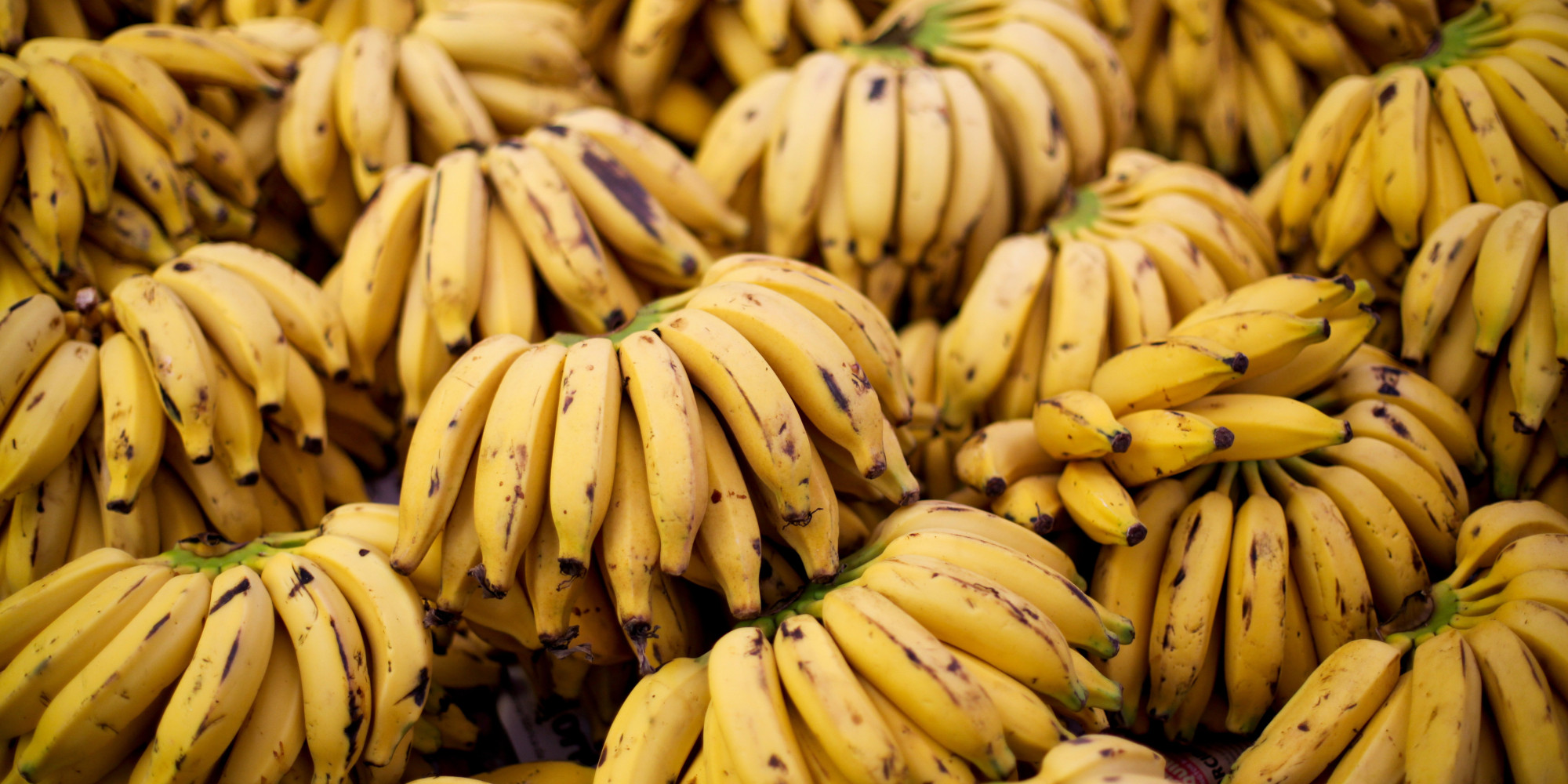 Banana Fungus, Insect Outbreak Threaten Global Supply | HuffPost