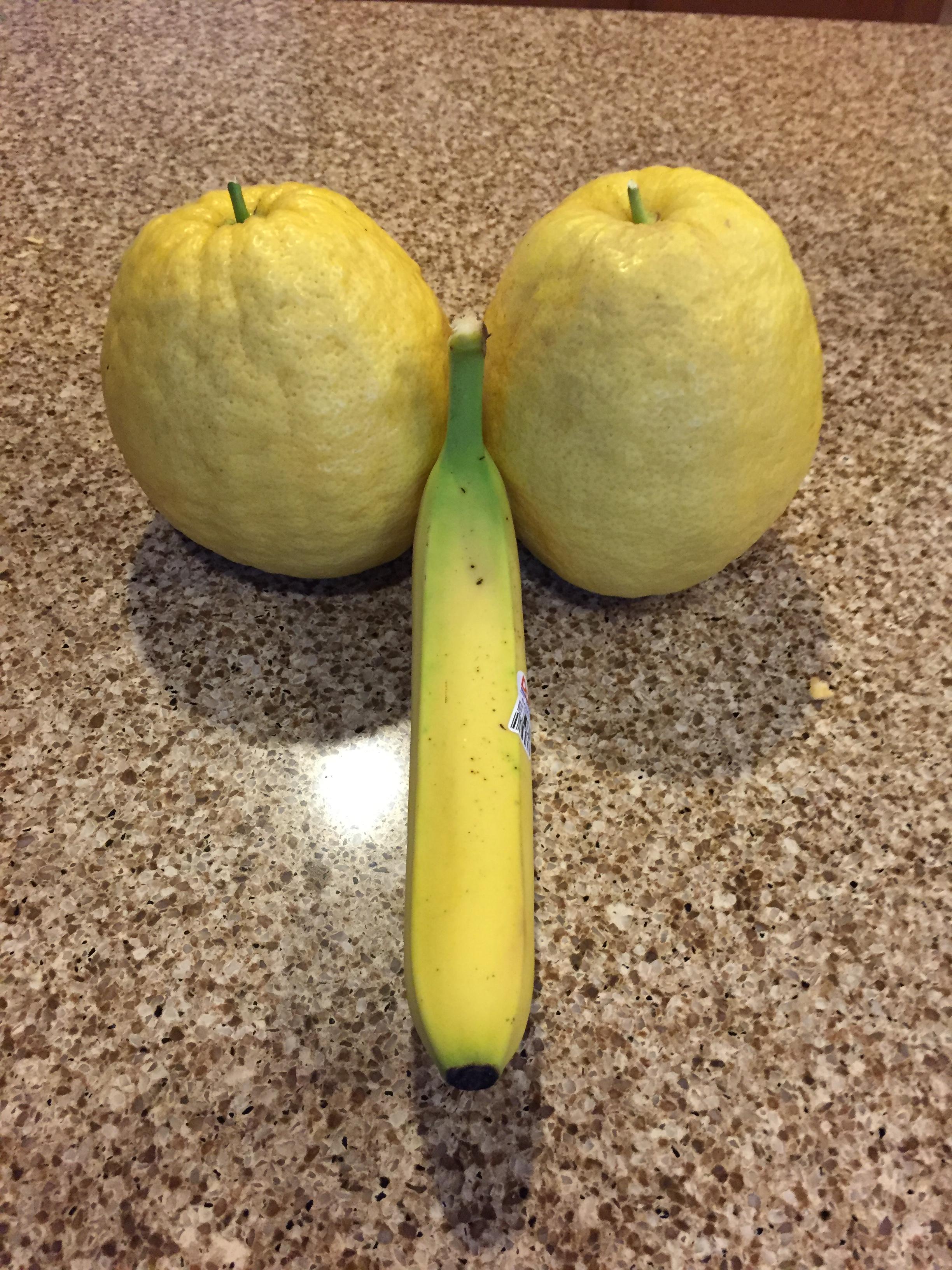 Giant lemons (banana for scale) - Album on Imgur