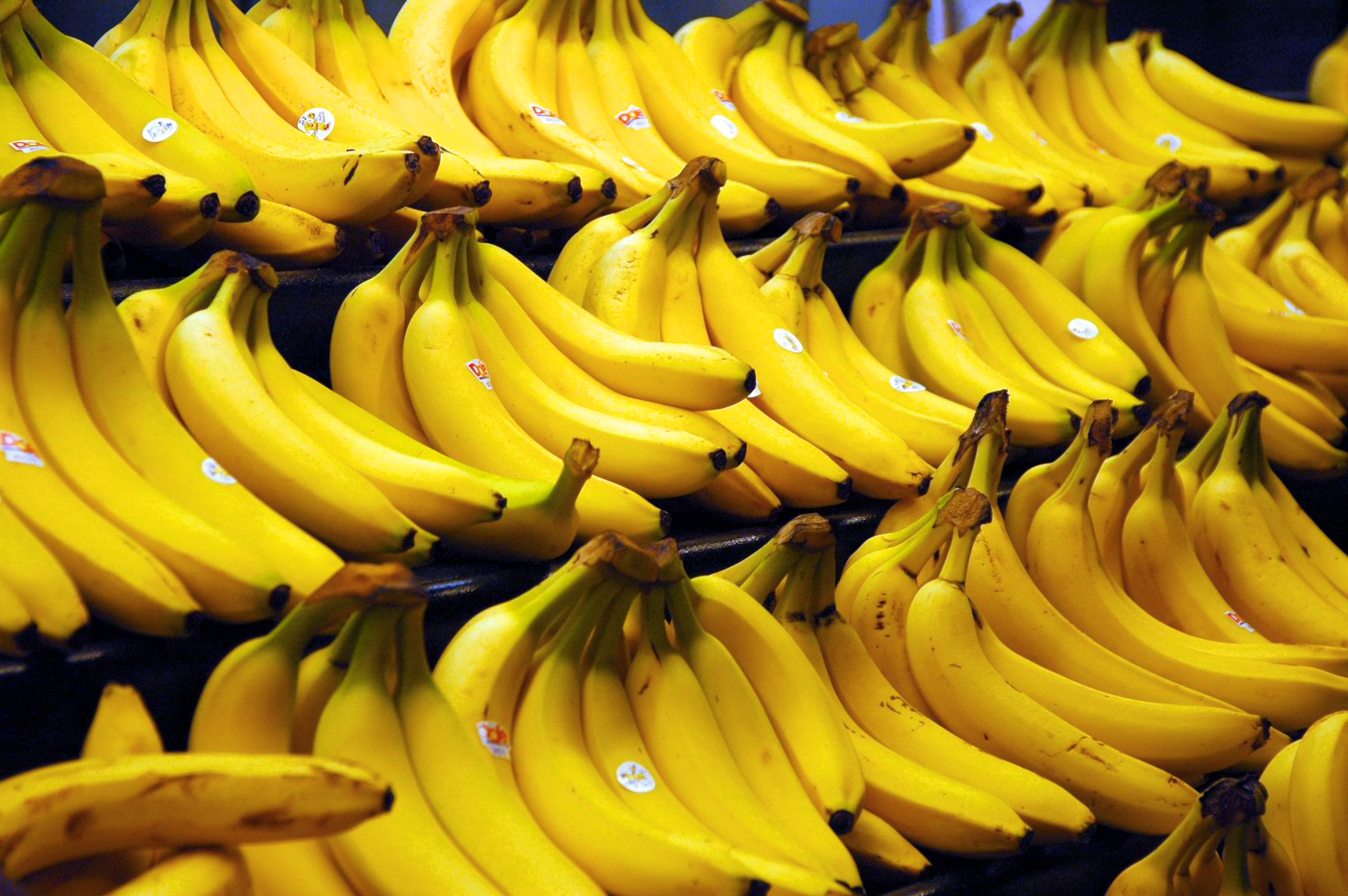 File:Bananas.jpg - Wikimedia Commons