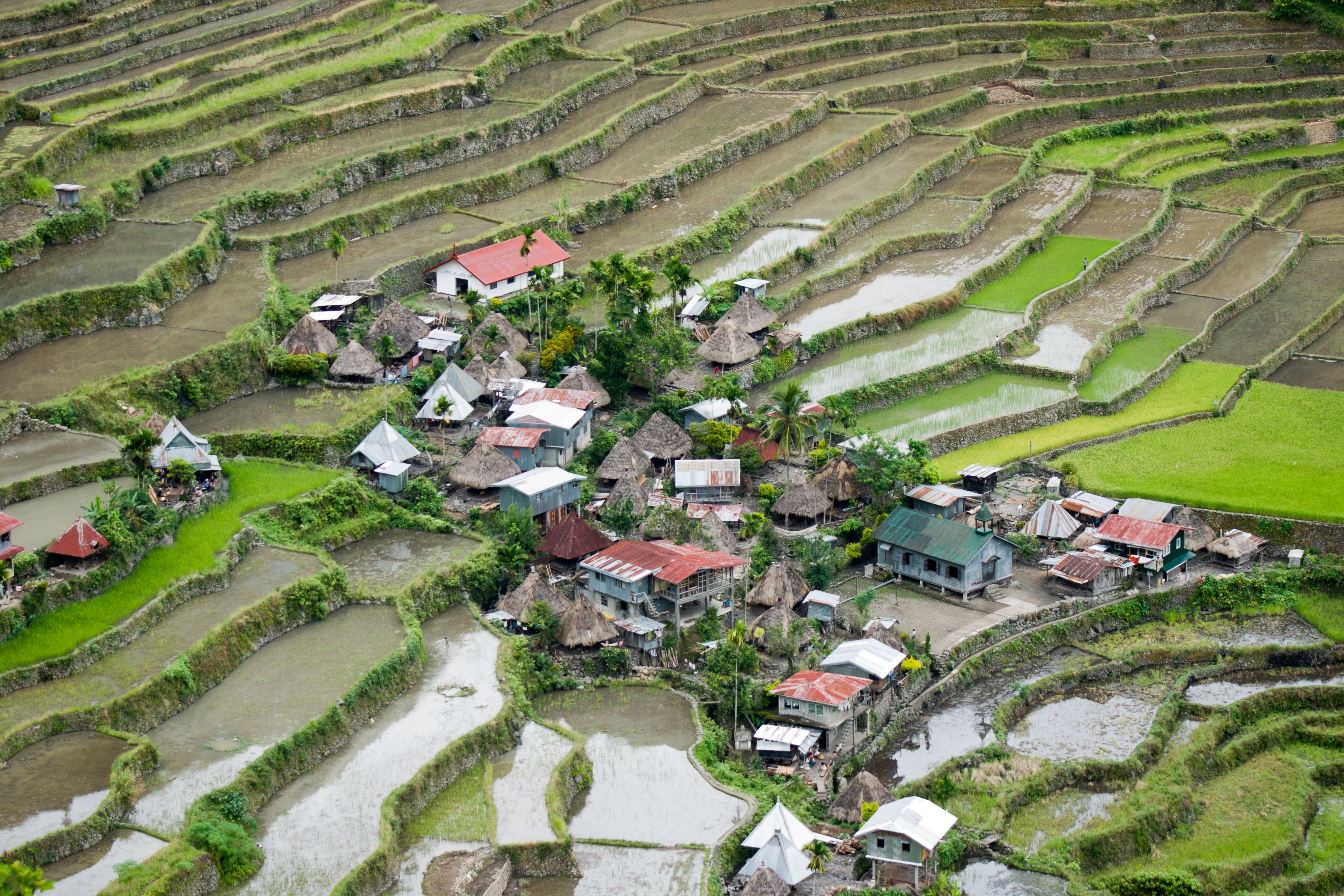 Rice Terraces of the Philippine Cordilleras - Wikipedia