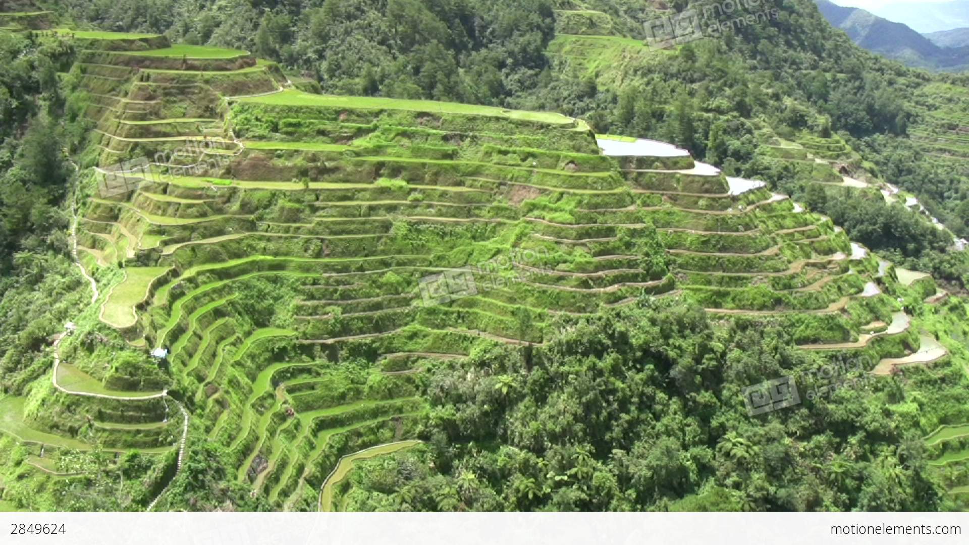 Banaue Rice Terraces, Philippines Stock video footage | 2849624