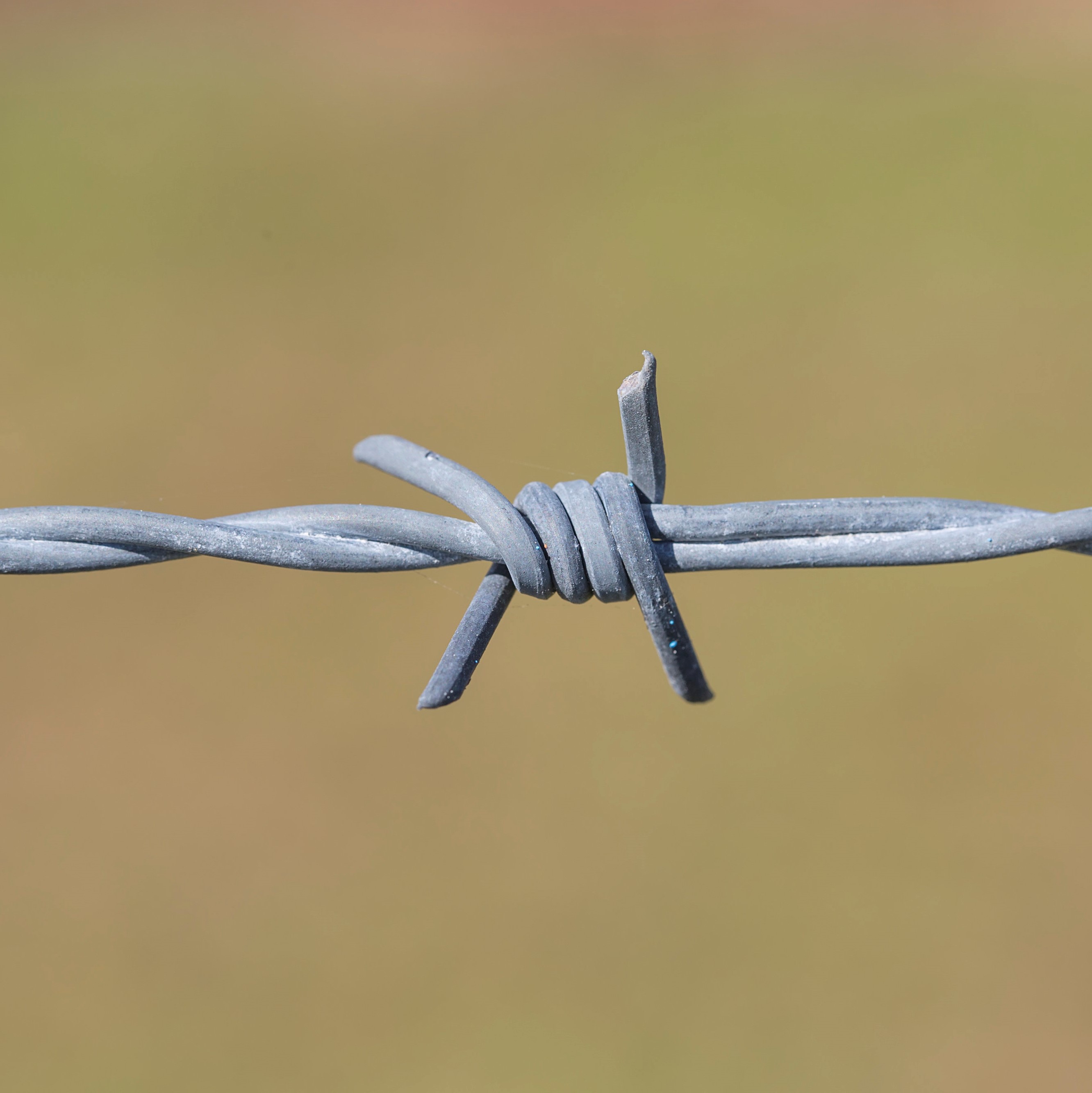 18g Light-Duty Barbed Wire High Tensile | Bekaert Fencing