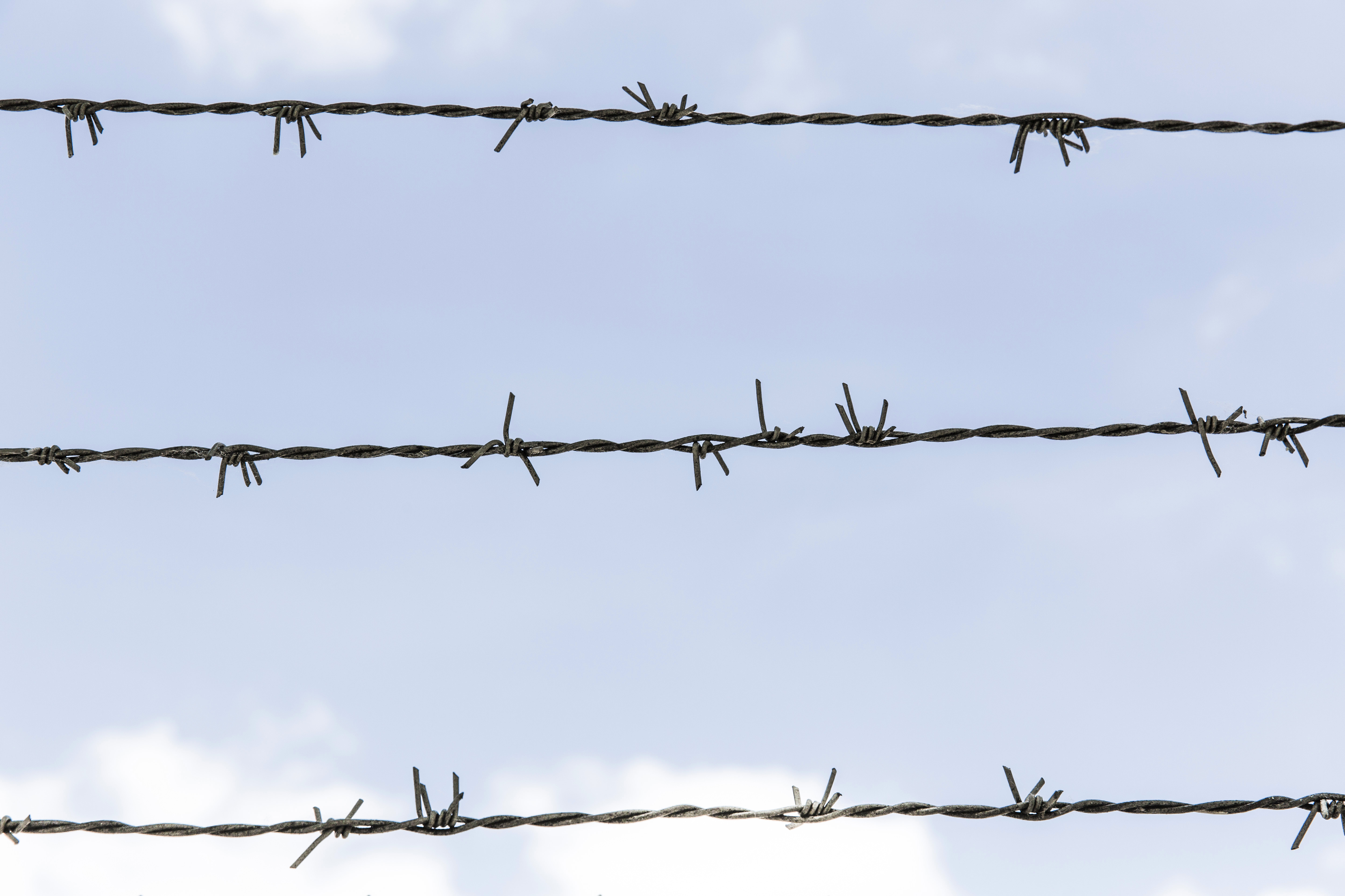 Barbed Wire Blue Sky Free Photo - Gratisography
