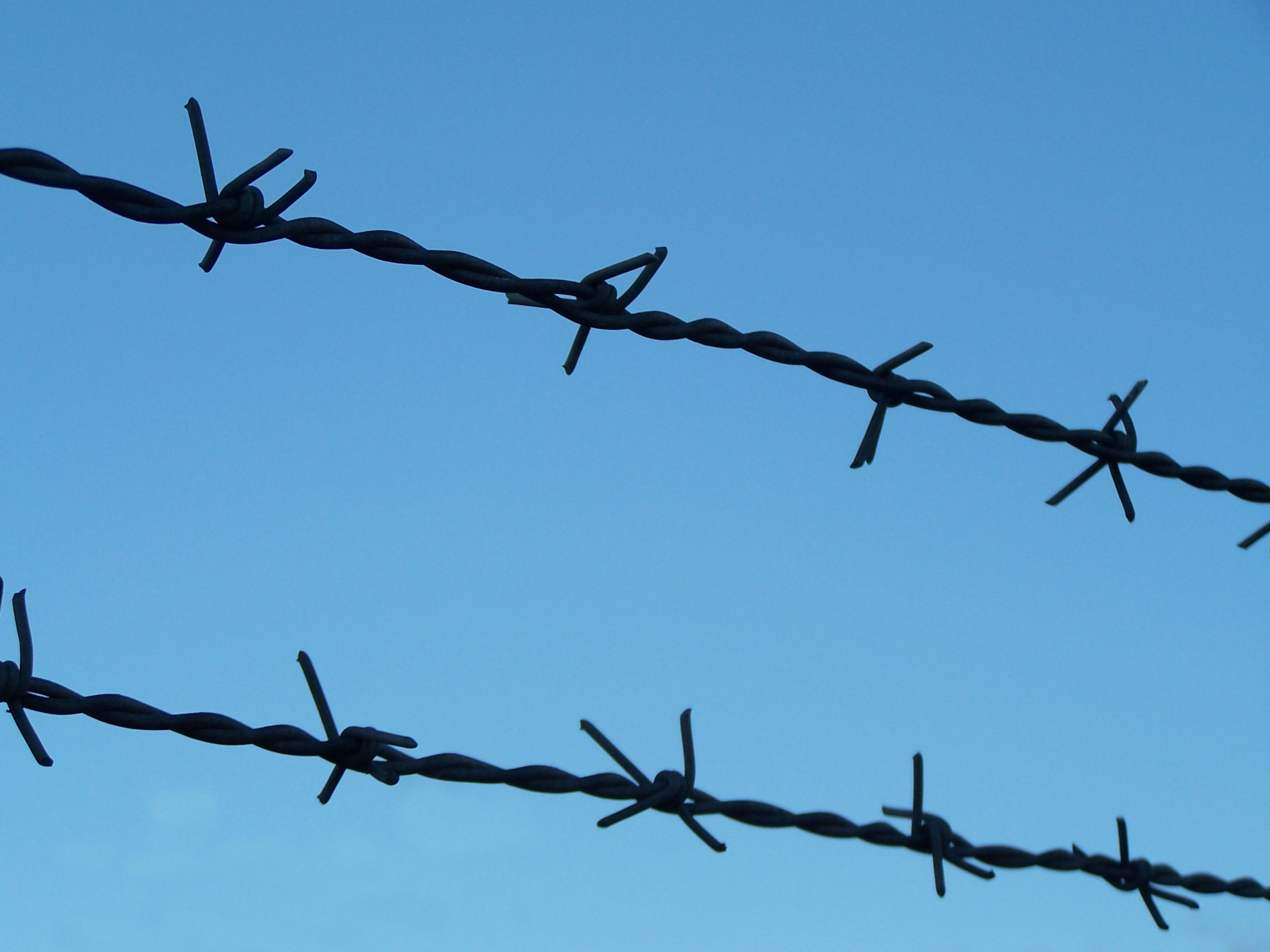 File:Barbed wire in the sky.jpg - Wikimedia Commons