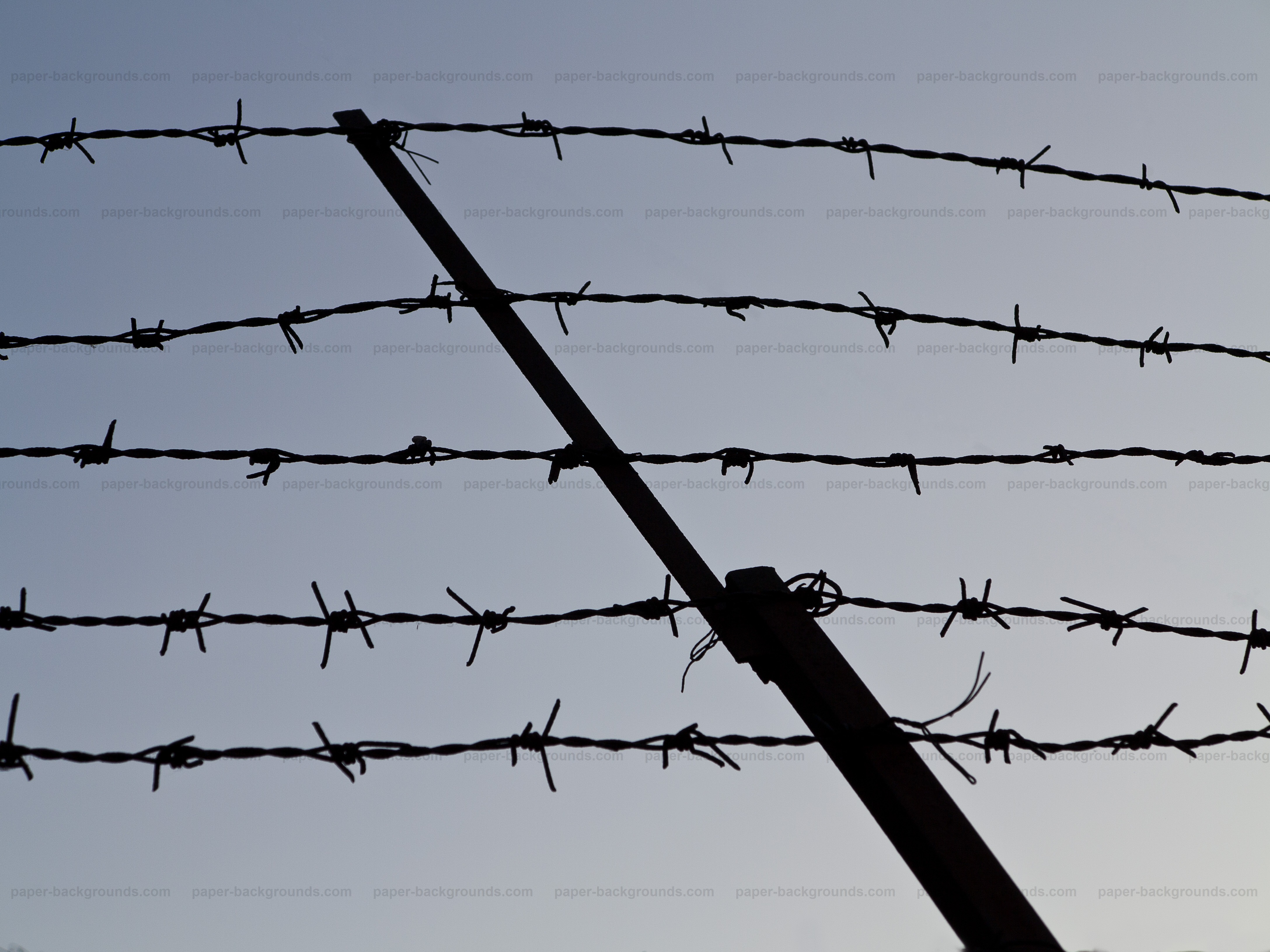 Barbed wire photo