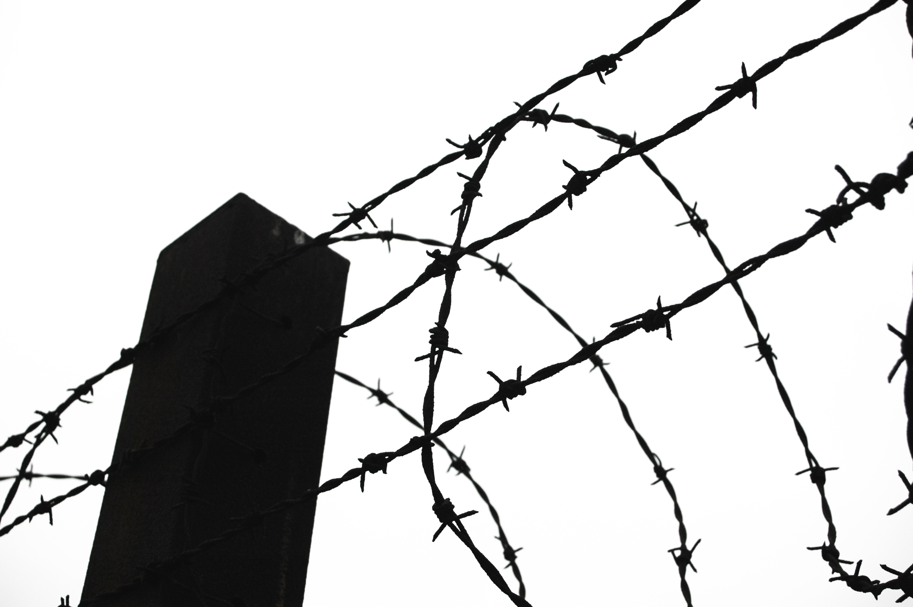 Barbed Wire | photo page - everystockphoto