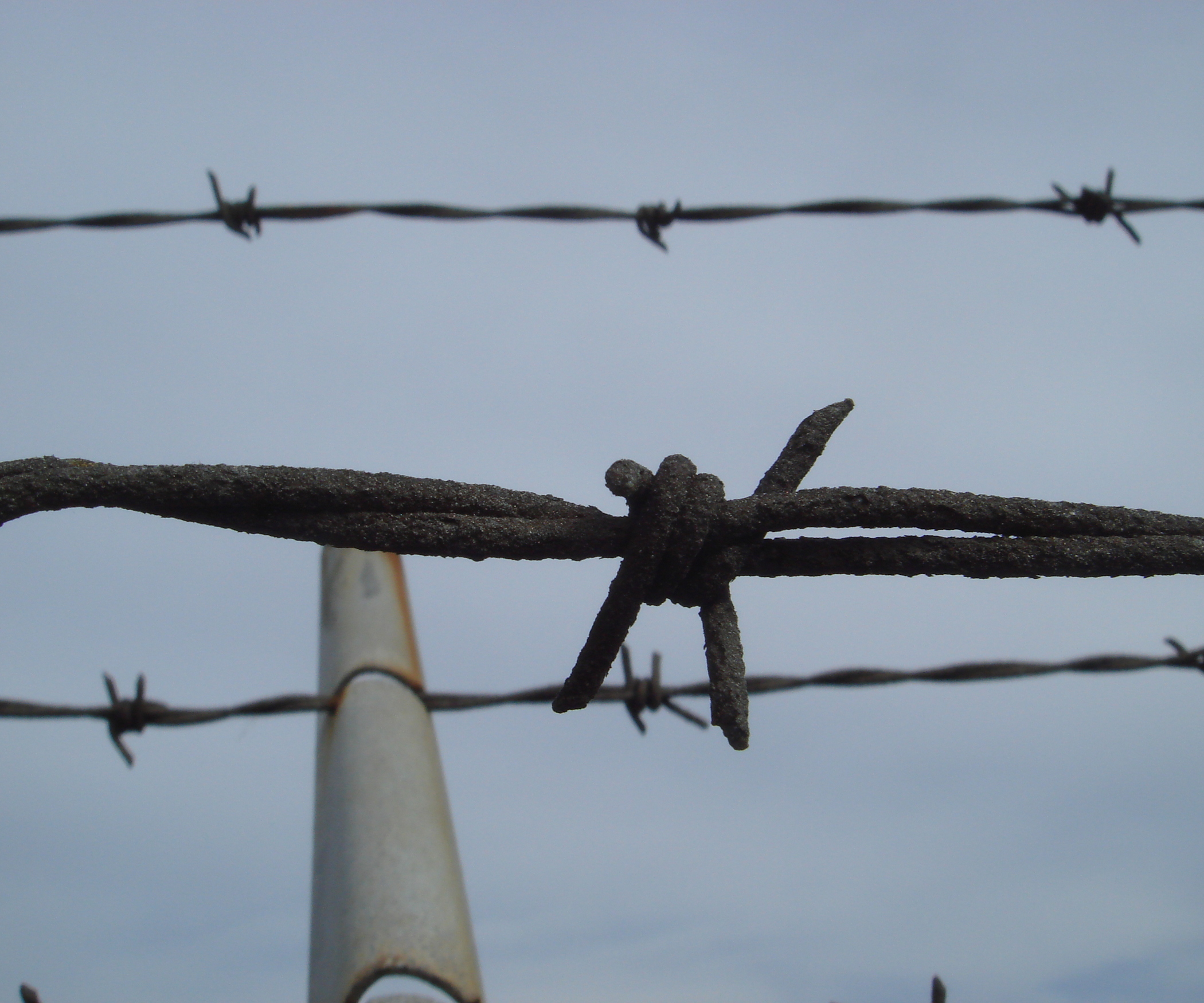Get Over a Barbed Wire Fence