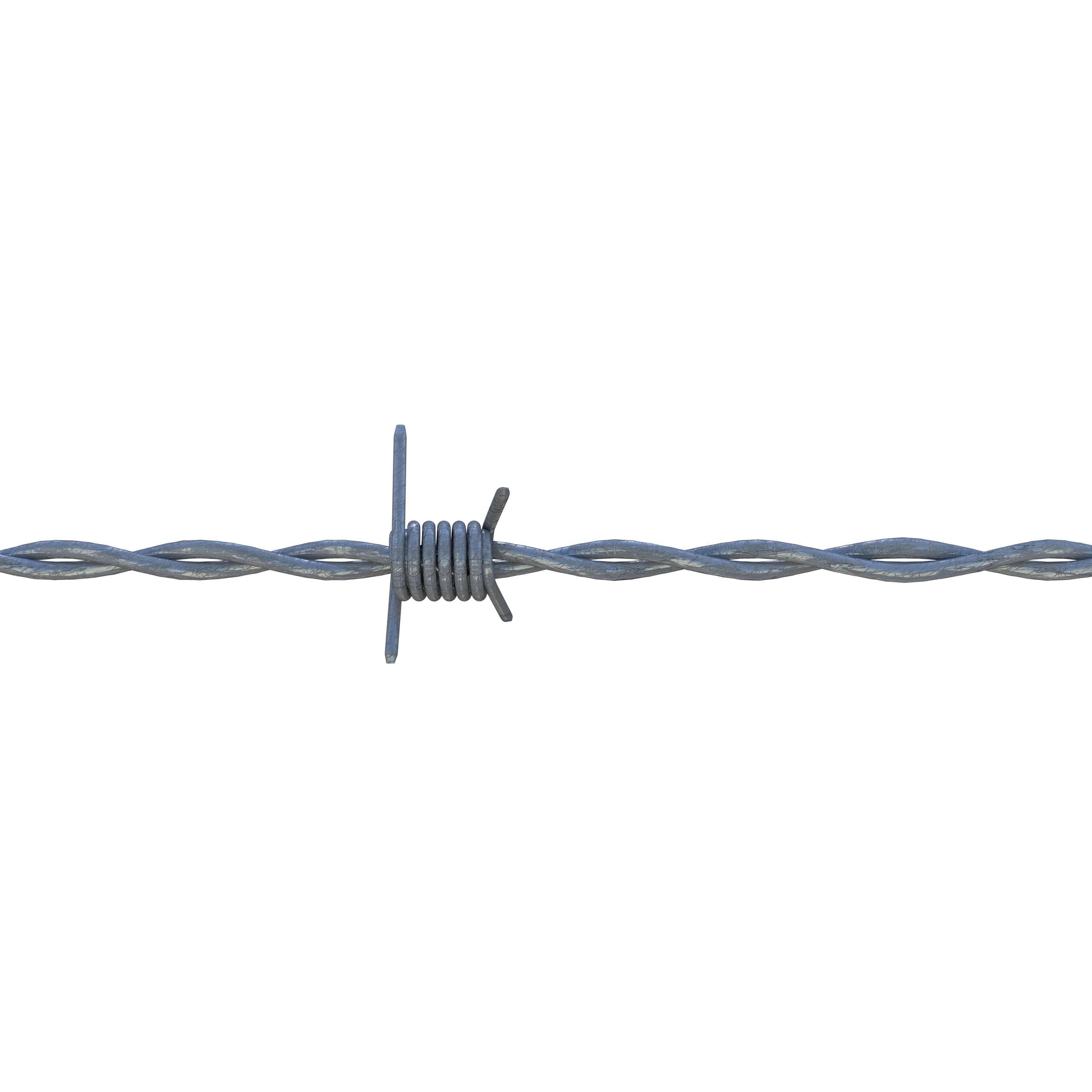 3D asset Barb Wire | CGTrader