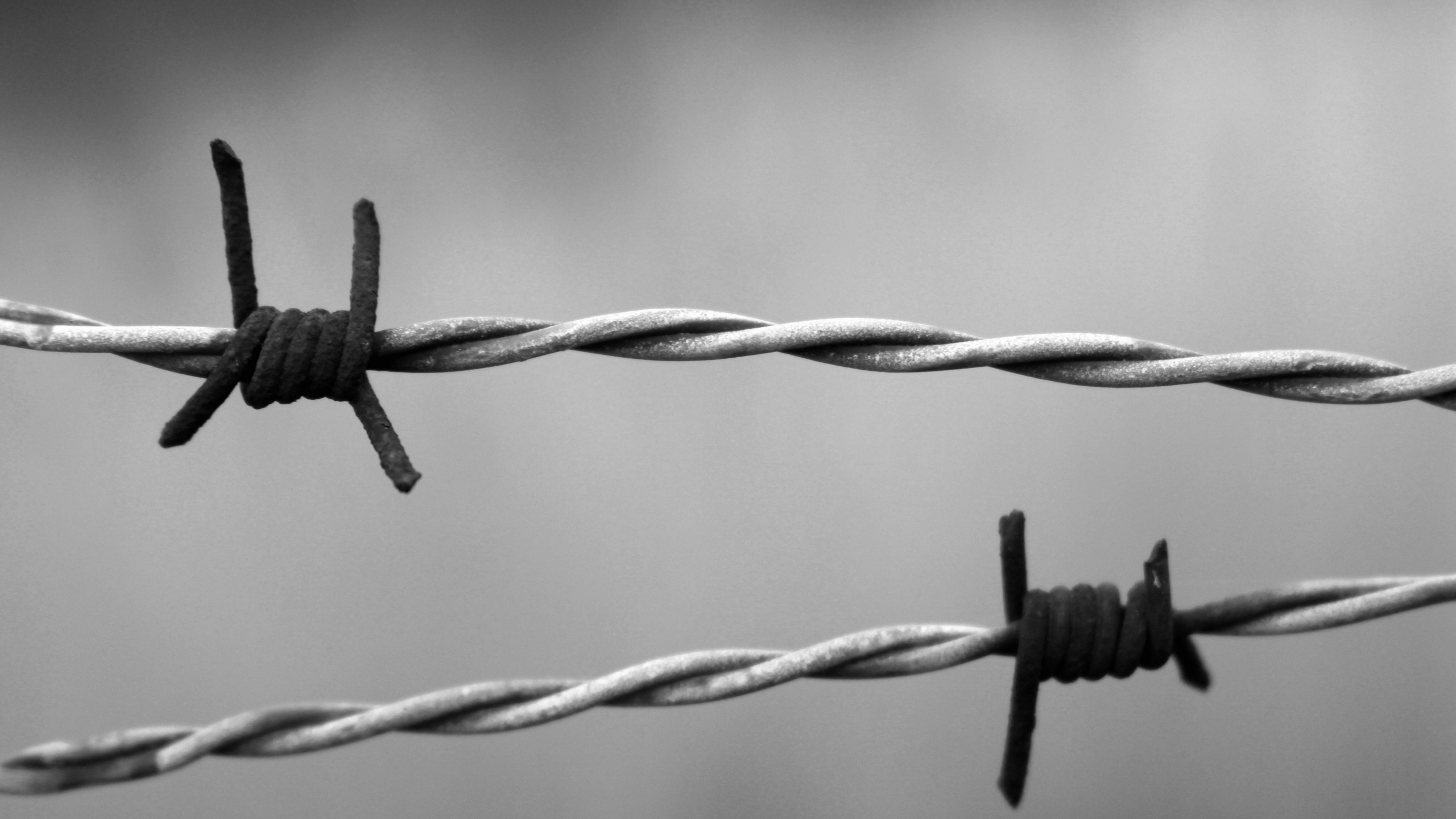 Barb Wire Wallpaper Background 54322 2560x1440 px ~ HDWallSource.com