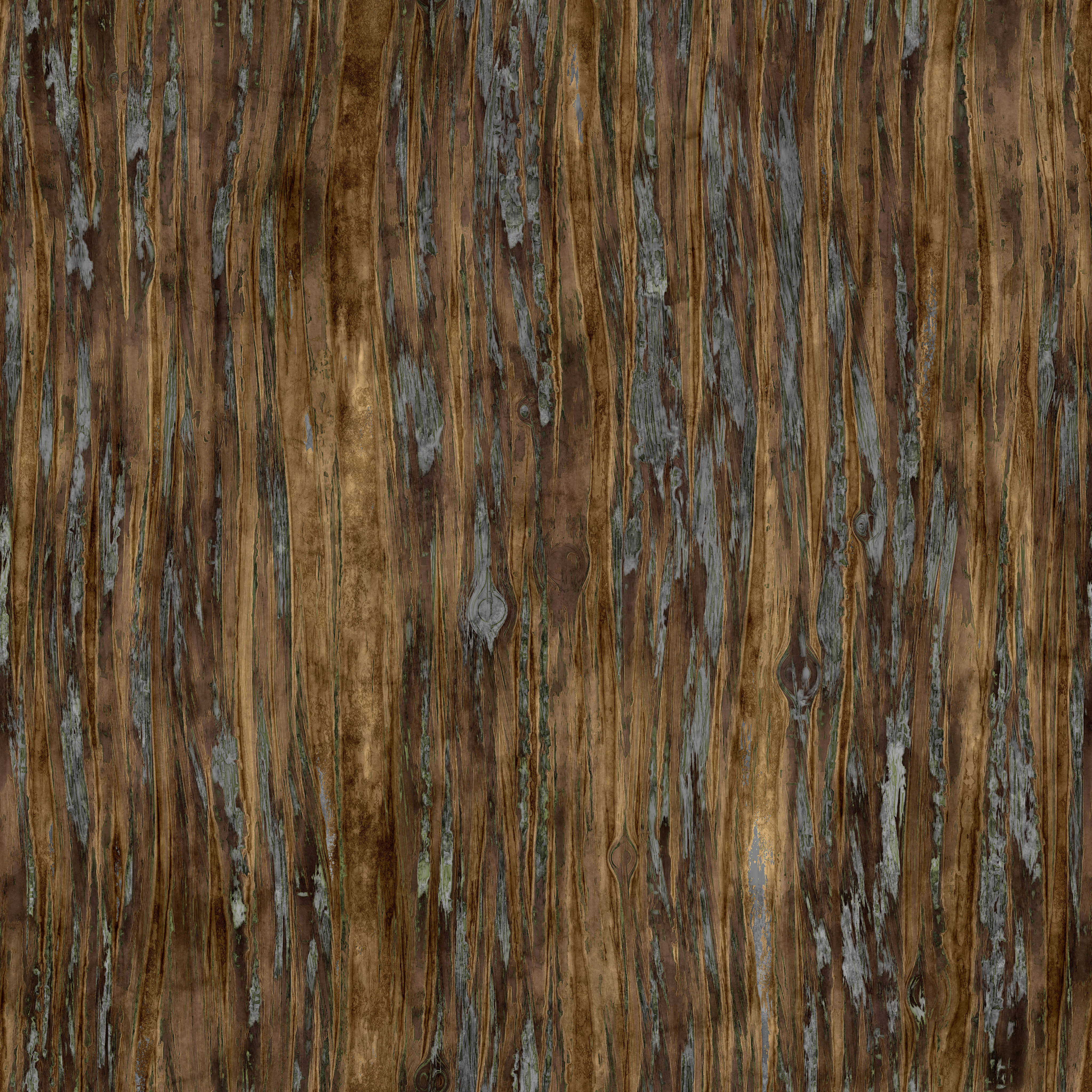 Tree Bark Texture Study – Matthew Fiveash