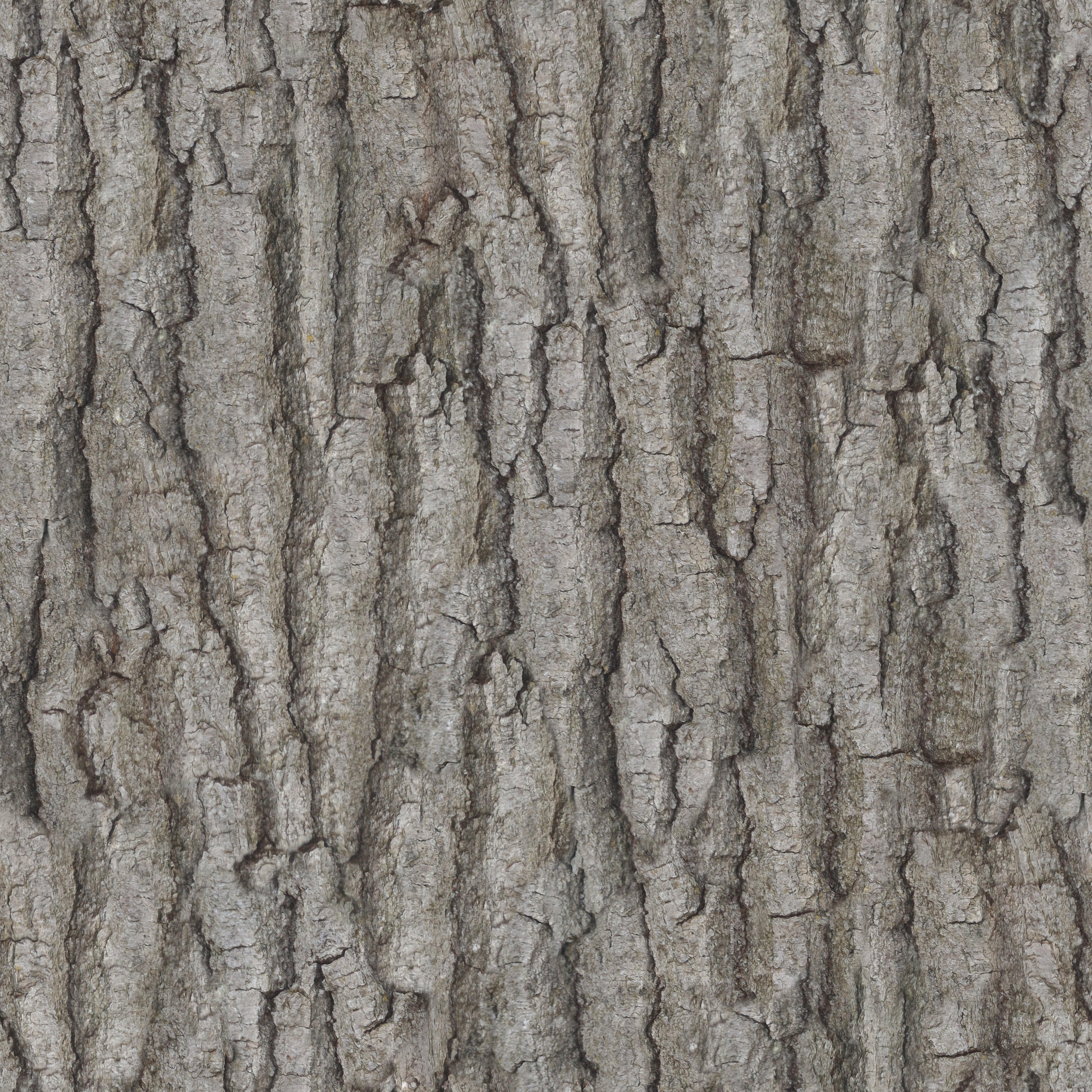 Zero CC tileable bark texture, photographed and made by me. CC0 ...