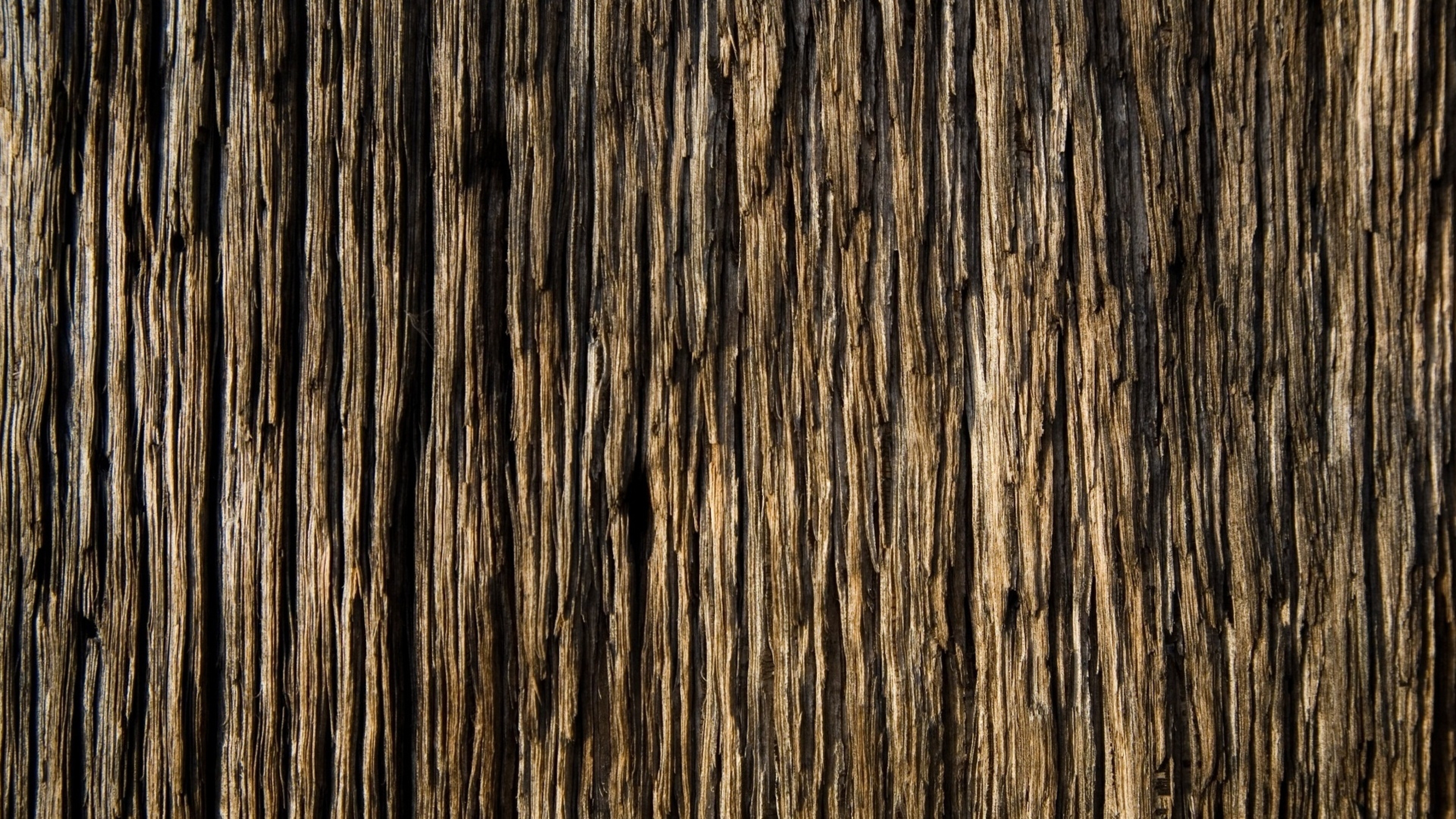 Download Tree Bark Texture Widescreen Wallpaper 49759 3840x2160 px ...