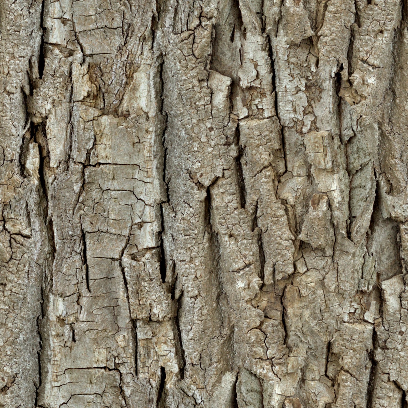 High Resolution Seamless Textures: (Wood 26) tree bark seamless ...