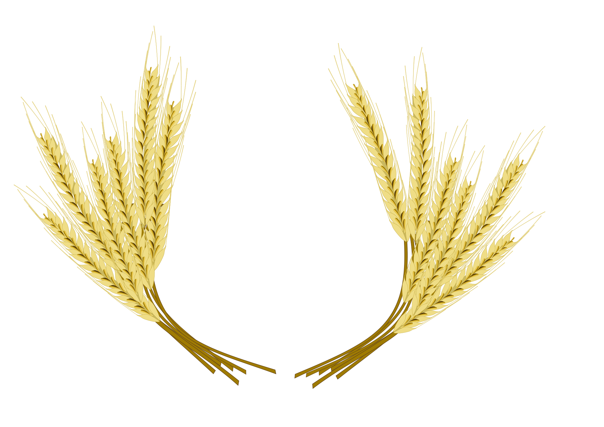 File:Barley portrait frame.svg - Wikimedia Commons