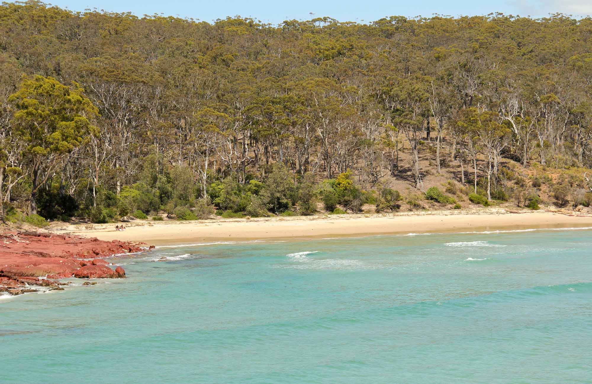 Barmouth Beach | NSW National Parks