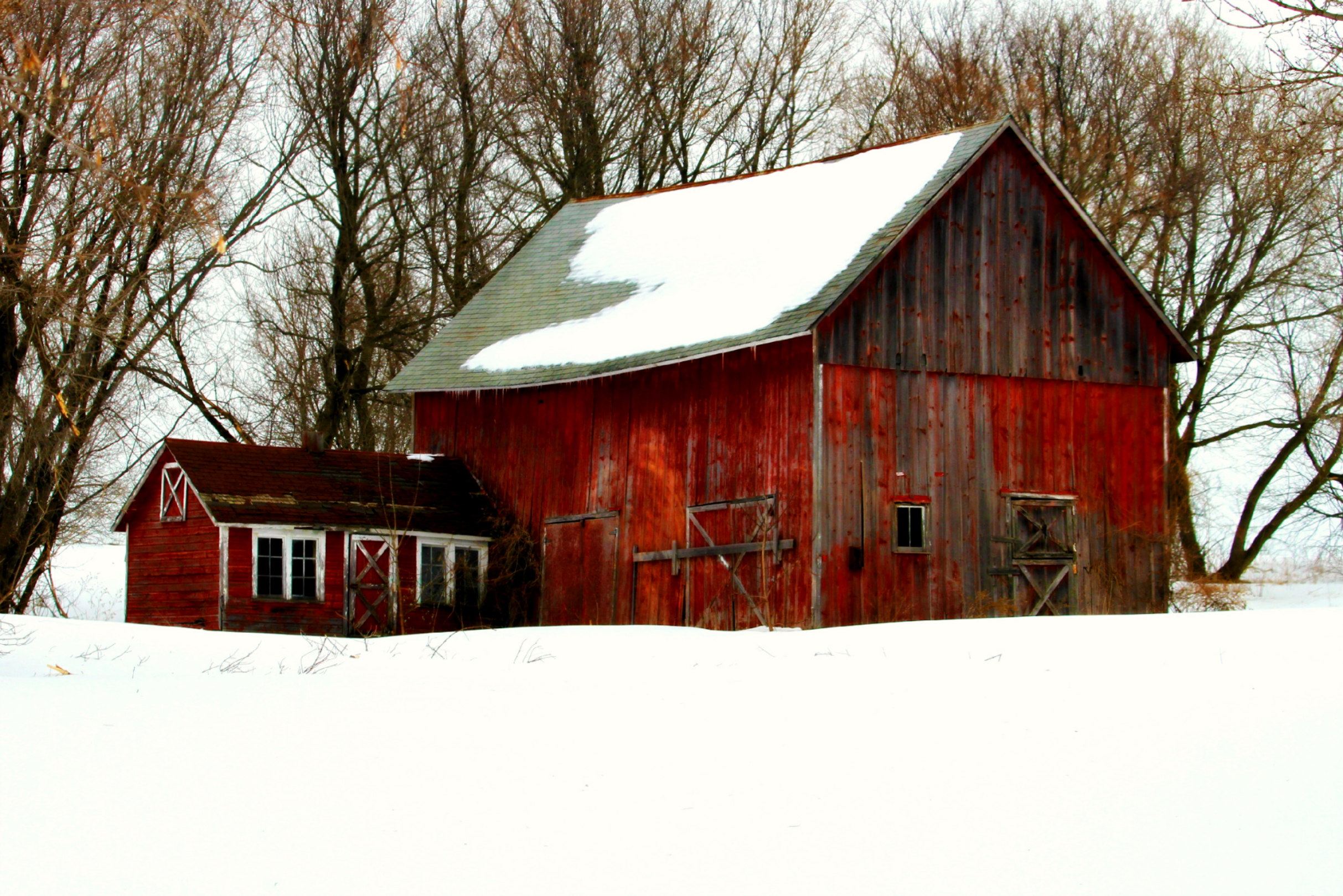 Classic Red Barn... - Pahl's Market - Apple Valley, MN