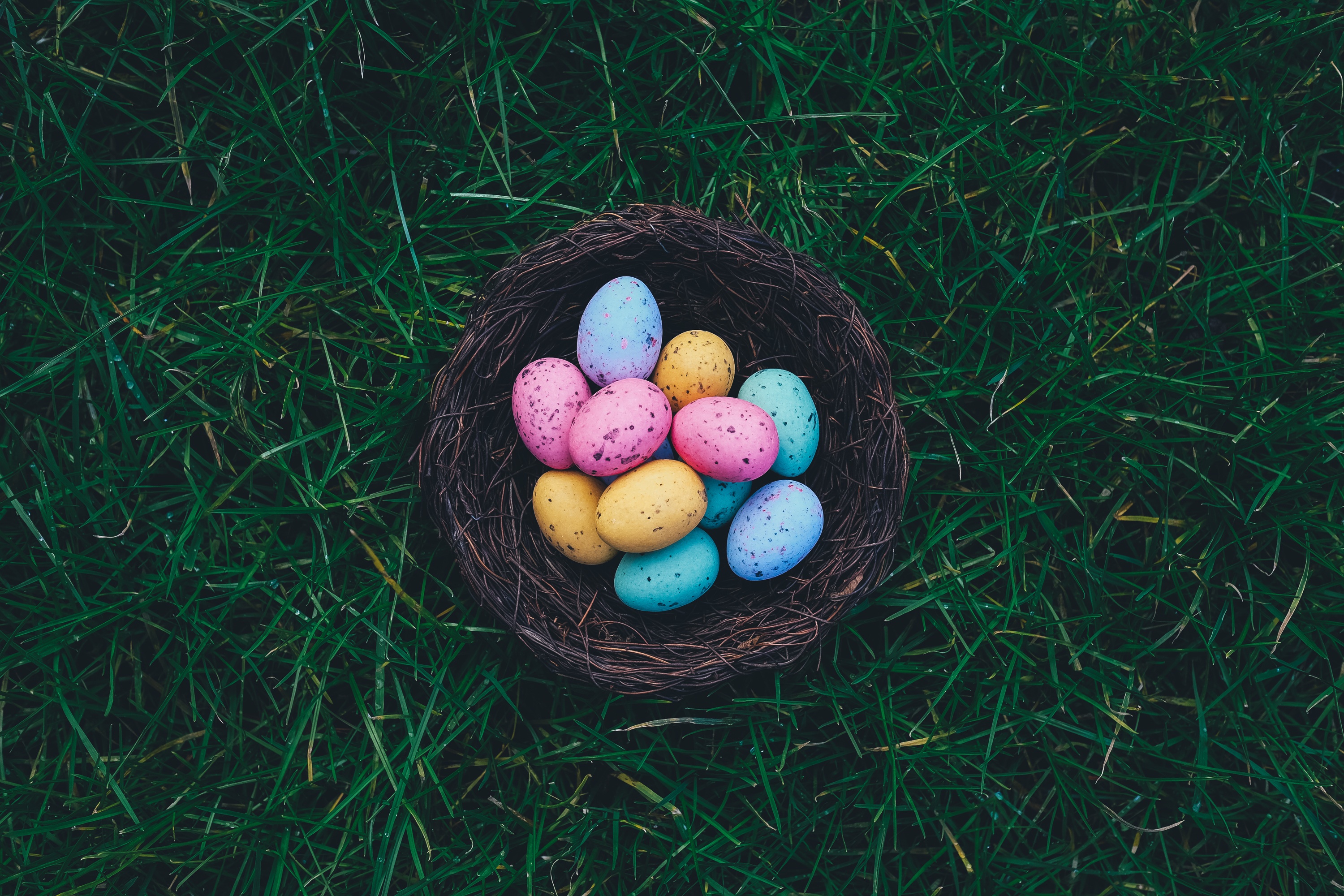 Basket Full Of Eggs, Basket, Blue, Color, Easter, HQ Photo
