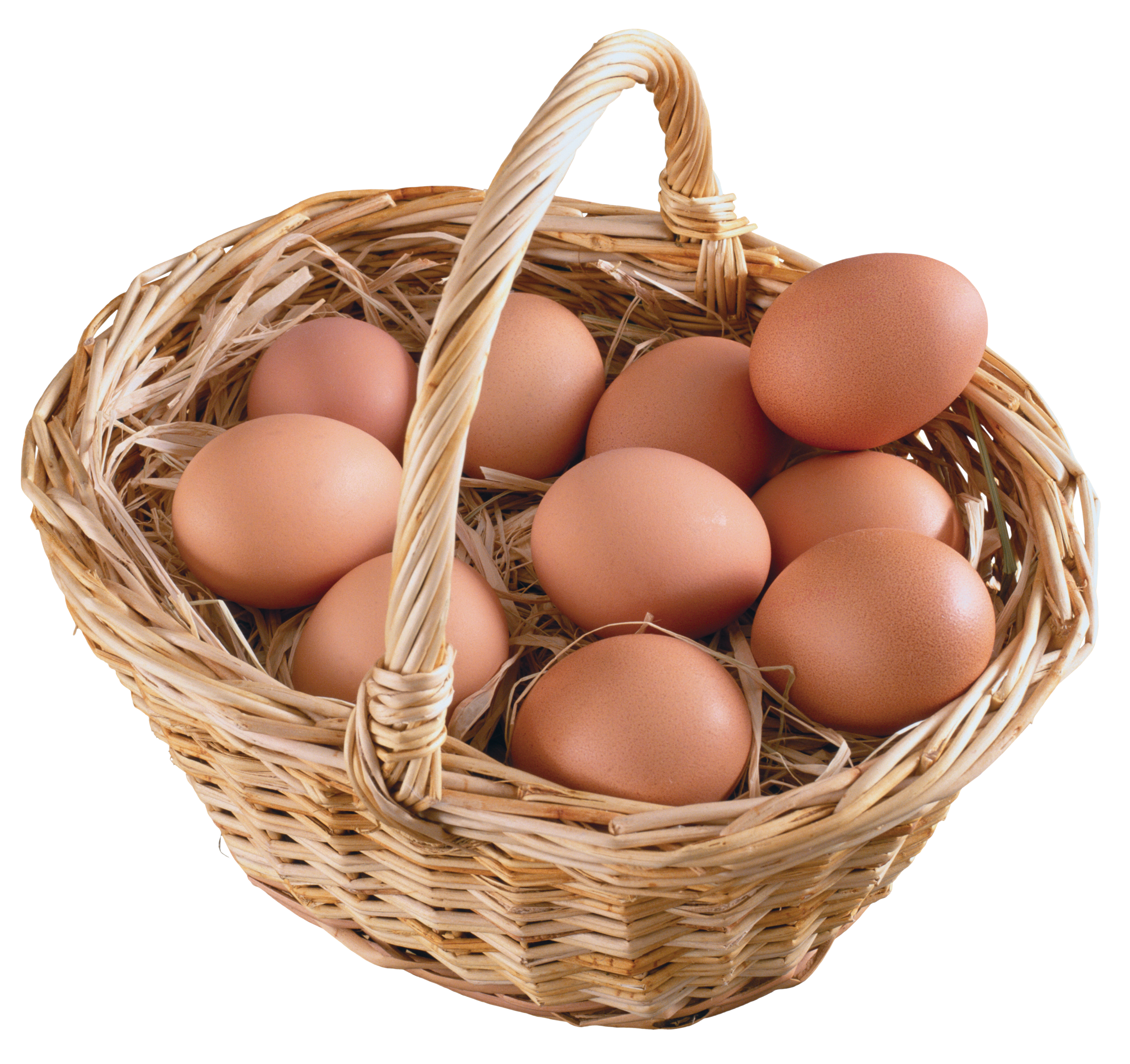 Eggs Basket Four | Isolated Stock Photo by noBACKS.com