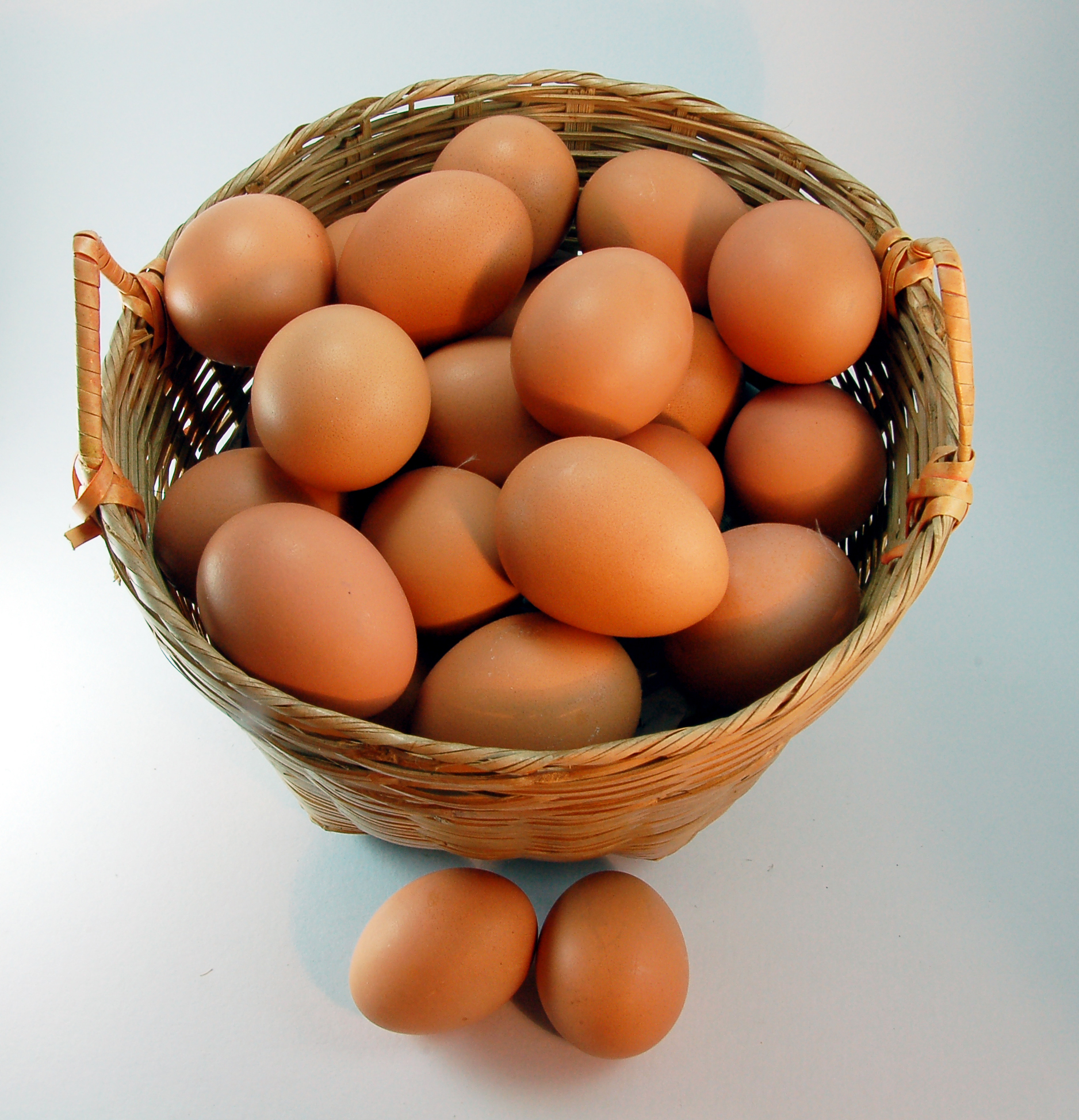 All the egg in a basket ? | MakanWind