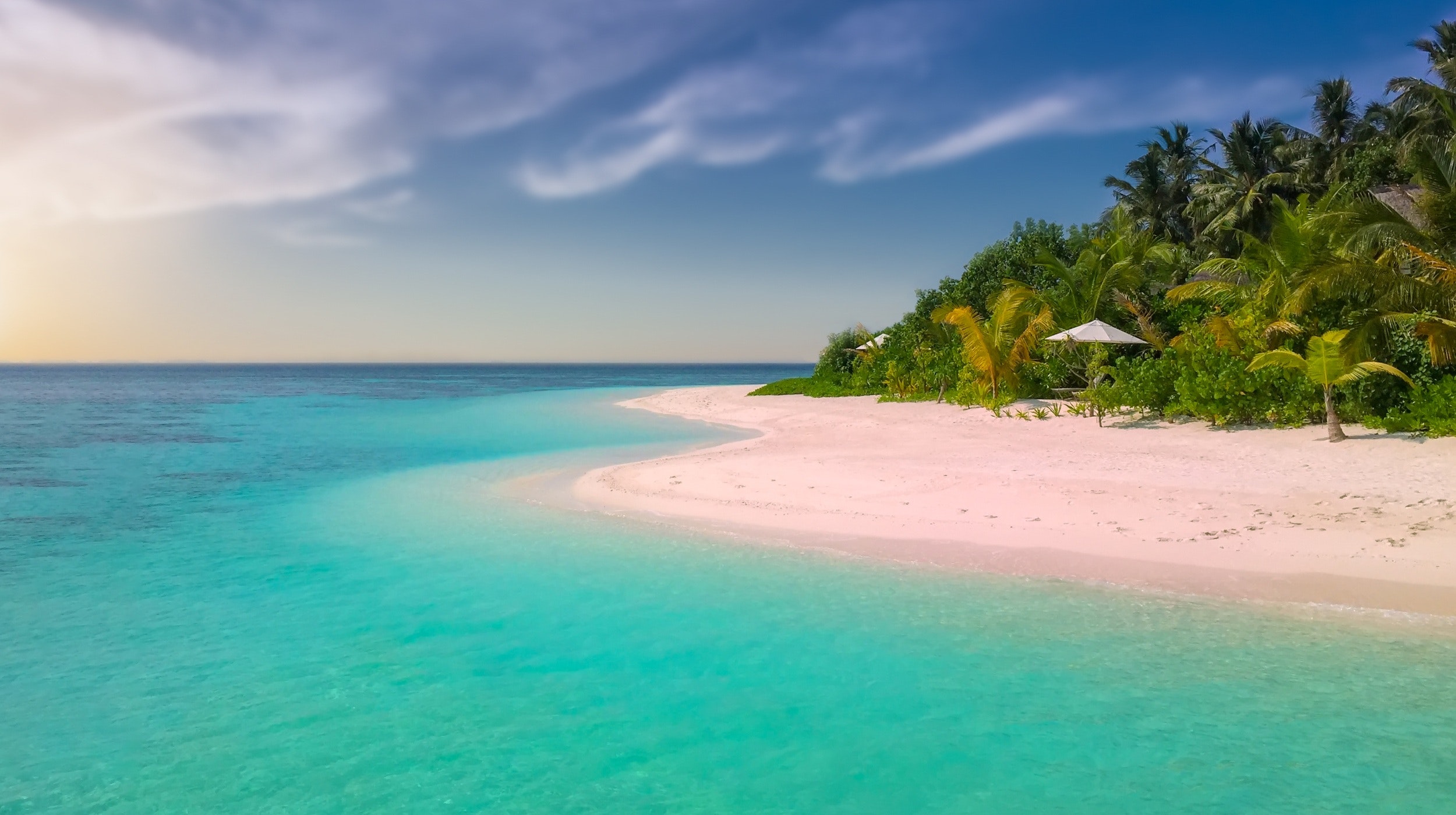Free stock photo of beach, coast, coconut trees