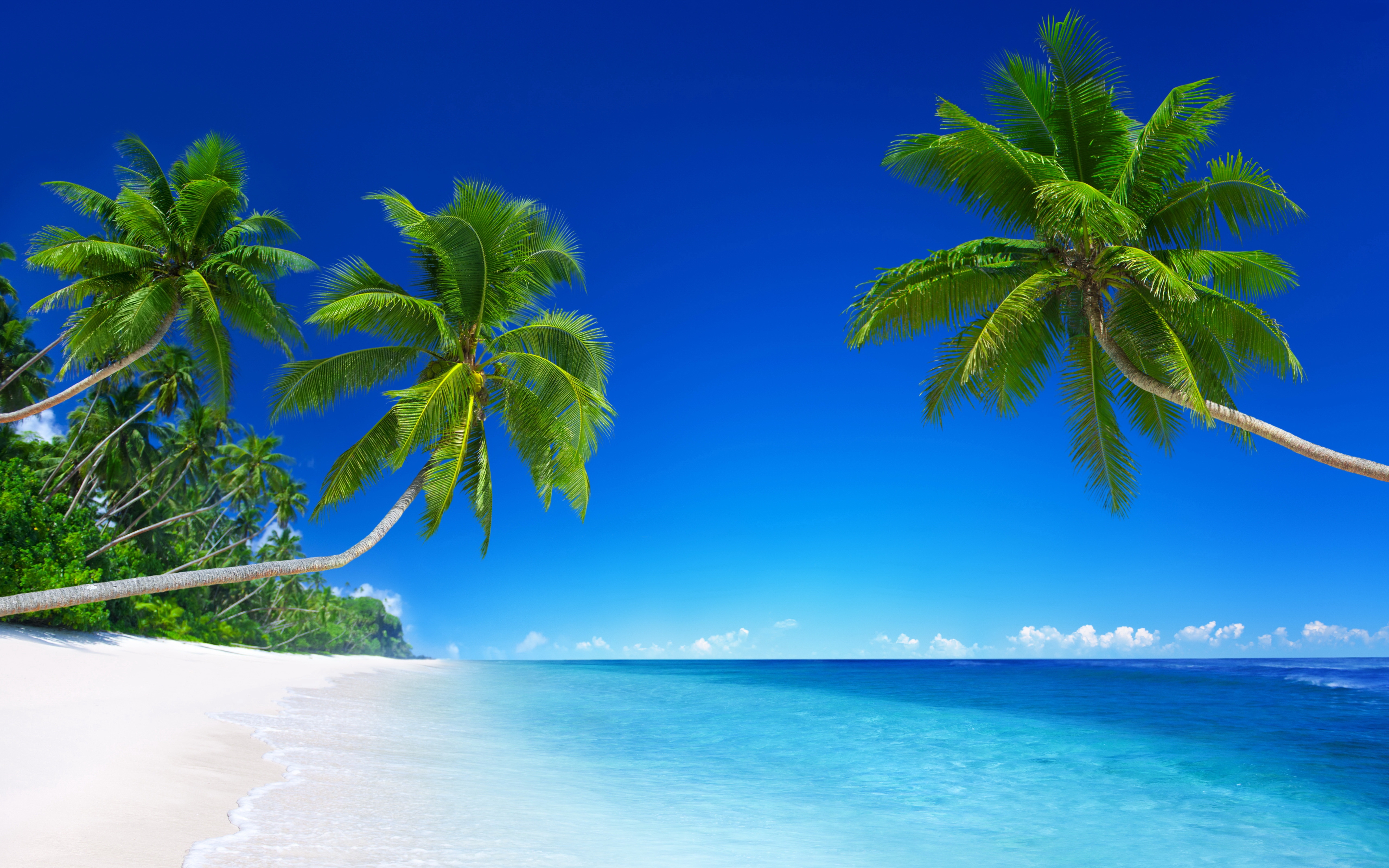 Tropical Beach Paradise 5K Wallpapers | HD Wallpapers | ID #18455